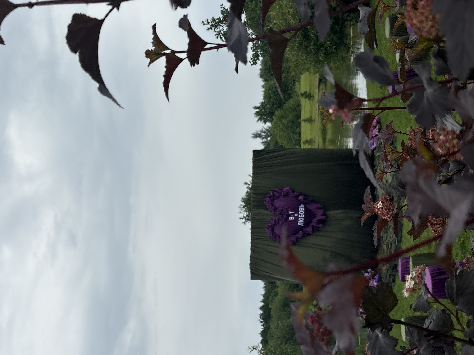 The image depicts an outdoor scene with a body of water and lush greenery, suggesting a park or natural setting. In the foreground, dark-leaved plants with reddish-brown stems and small flowers are out of focus. Behind these plants, a large, dark green cylindrical structure is partially visible, covered by fabric. Attached to this structure is a prominent purple heart-shaped decoration. The heart has ruffled edges and white text, which appears to read "В.Т" and "ЛЮБОВЬ" with an equals sign between them. There are also several small, round, purple-covered objects scattered on the grass in front of the green structure, some of which appear to be small stools or seating. In the middle ground, a calm body of water is visible, bordered by a grassy bank and trees. Several small evergreen trees are dotted across the grassy area. The sky is overcast with diffused light. The location is specified as Нижние Муллы, Russia.