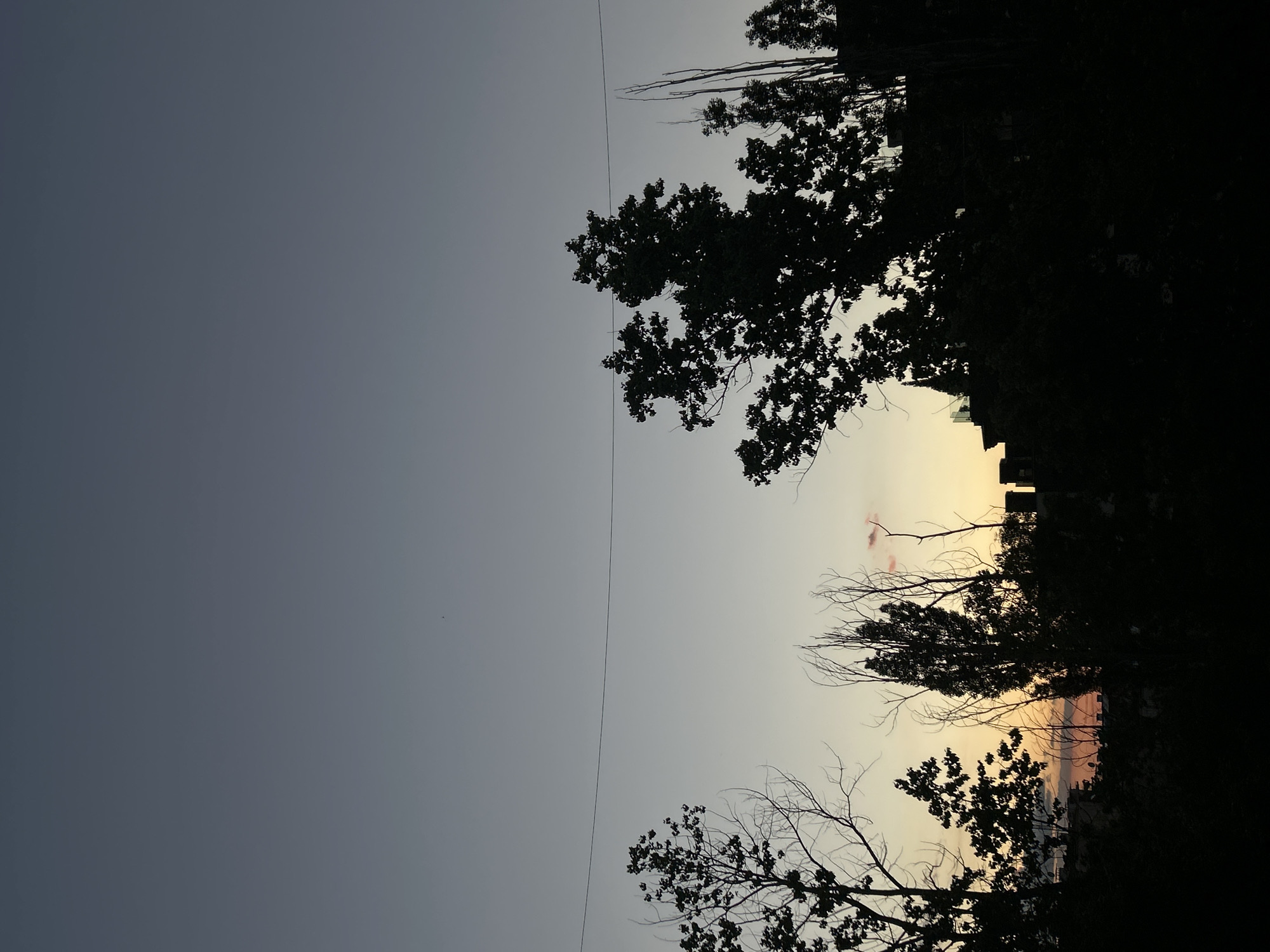 The image shows a dusk scene with trees silhouetted against a sky that transitions from a darker gray on the left to a lighter shade on the right, with hints of orange and yellow near the horizon. A thin wire spans the frame horizontally. The silhouette of a building is visible among the trees on the right. It is likely taken somewhere in Sofia, Bulgaria.