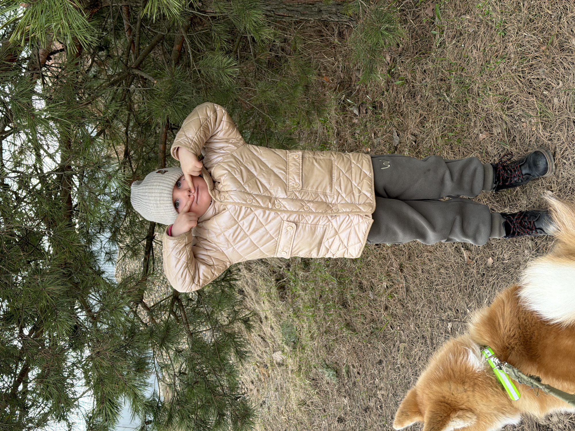 A young child lies on the ground near a pine tree and a dog. The child wears a beige quilted jacket, gray pants with a number "3" on the leg, a gray hat, and black boots. The child is making a face, touching their nose with both hands. The ground is covered with dry grass and pine needles. A portion of a tan and white dog is visible in the lower right corner of the frame, with a green leash and collar. The location is in Chaikovsky, Russia.