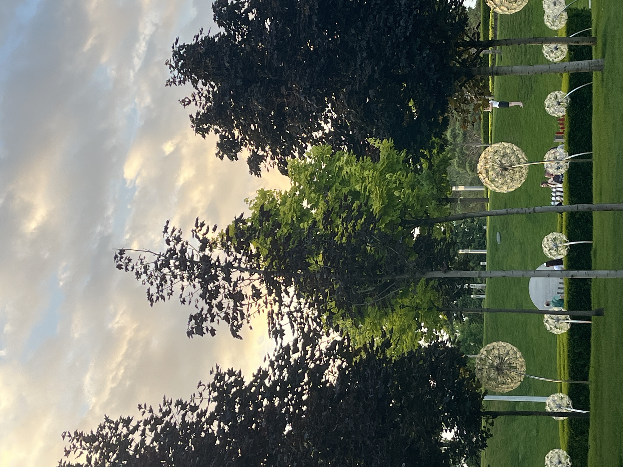 The image depicts a park with lush green grass and several trees. In the foreground, there are large, luminous dandelion-shaped sculptures arranged in a row. A low hedge runs horizontally across the mid-ground, behind which are several people, some seated and others standing. A person is standing on a grassy slope in the background, possibly taking a photo. The sky above is filled with clouds, suggesting it is either sunrise or sunset. Based on the architectural style and the presence of these specific dandelion sculptures, this scene is likely located in the "Krasnodar Park" (also known as "Krasnodar Reservoir Park" or "Galitsky Park") in Krasnodar, Russia.