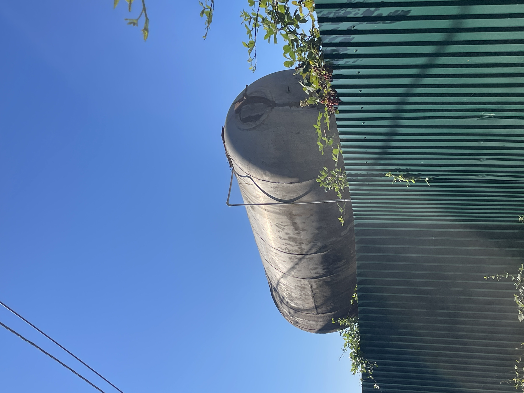 A large, weathered, cylindrical metal tank sits horizontally above a green corrugated metal fence. The tank is weathered and appears to be made of a dull, metallic material. Green foliage, including some with dark berries, grows around and over the top of the fence, partially obscuring the base of the tank. The sky is clear and bright blue. Two thin wires are visible in the upper left corner against the blue sky. The scene appears to be outdoors, possibly in a rural or industrial setting. There are no people or animals visible in the image. The location is identified as Baranovka, Russia.