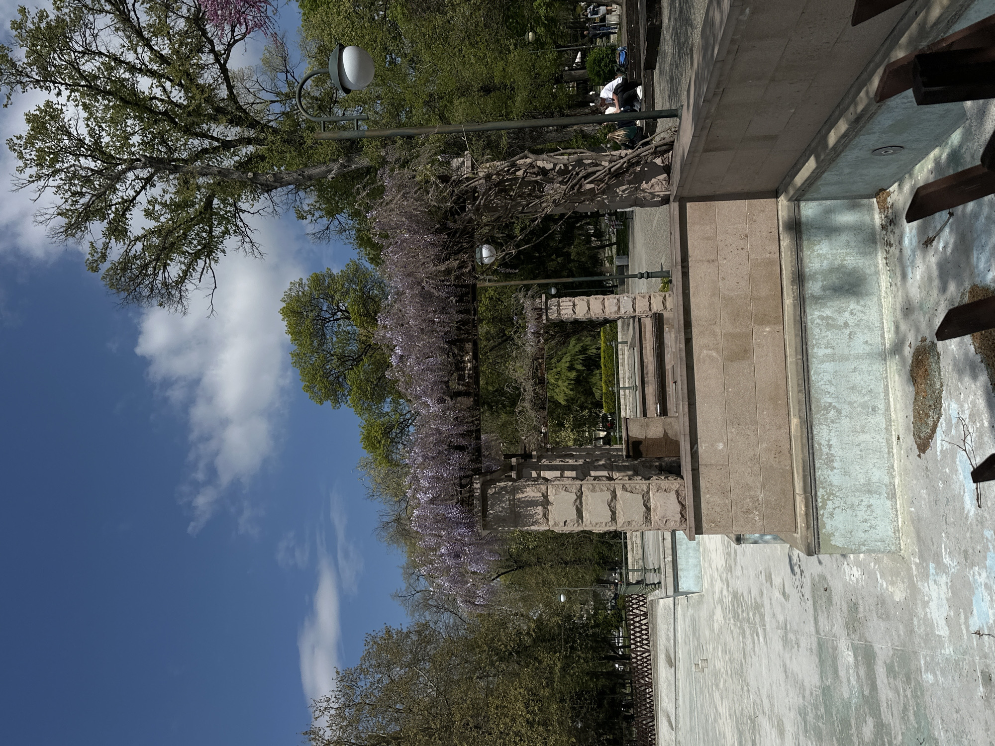 This image captures a serene outdoor scene in a park or public garden, likely in Plovdiv, Bulgaria, on a bright, sunny day. The sky is a clear blue with several fluffy white clouds.
The mid-ground is dominated by a long, arching structure, possibly a pergola, heavily draped with vibrant light purple wisteria blossoms, forming a fragrant canopy. This structure is composed of light-colored, sturdy stone blocks, giving it a classic architectural feel. Scattered among the foliage and along the path are several lampposts featuring distinctive white, globe-shaped lights. To the left and in the upper portions of the image, several large trees with lush green foliage stand tall, providing shade. Another tree in the upper right corner displays delicate pink or purple blossoms.
In the background, a few people are visible, casually enjoying the park's amenities; one individual in a white top can be seen near a stone bench. The foreground and right side of the image reveal a large, empty basin, appearing to be a dry fountain or decorative pool. Its concrete surfaces show signs of weathering with faded light blue and grey tones, and some dark, possibly wooden or metal, fixtures are visible within it. A dark, decorative fence runs along the base of some stone elements.
The scene conveys a peaceful and pleasant atmosphere, suggesting a popular spot for relaxation and enjoyment of nature and architecture. There is no visible text in the image.