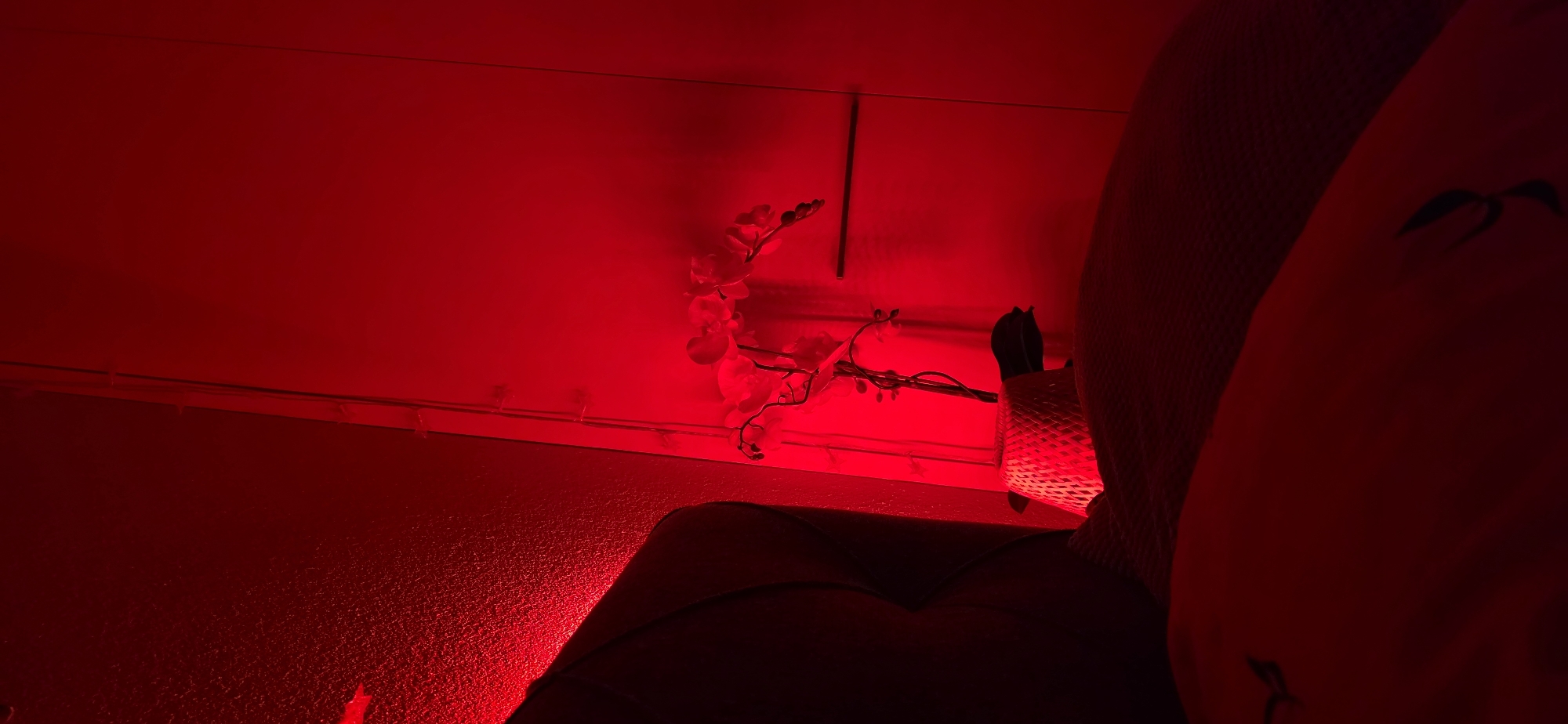 In Lieli, Switzerland, a dimly lit bedroom is illuminated by red ambient lighting. The scene features a headboard of a bed on the left, a woven planter with an artificial orchid in the center, and a door in the background. A portion of a bed with a dark pattern is visible in the foreground.