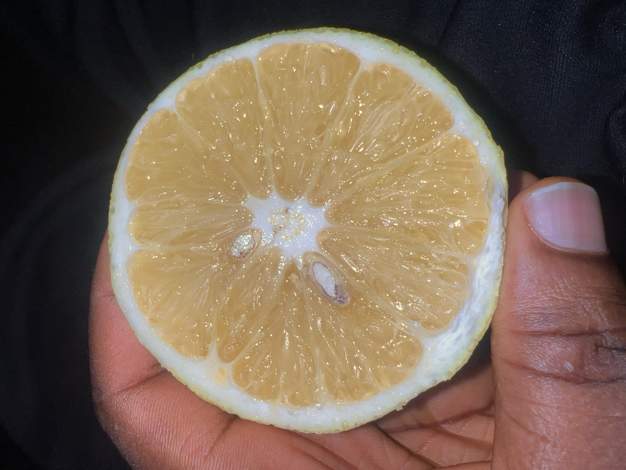 A close-up, high-angle shot shows a hand holding a sliced lemon. The lemon is cut in half horizontally, revealing its juicy, segmented interior with a few seeds visible. The hand, with its dark skin and visible fingerprints, gently cradles the fruit. The background is a dark, out-of-focus fabric. The lighting creates a slight sheen on the lemon's surface, highlighting its freshness. The scene appears to be indoors, possibly in a domestic setting within Lagos, Nigeria, given the context provided, though no explicit urban or environmental indicators are present in the image itself.