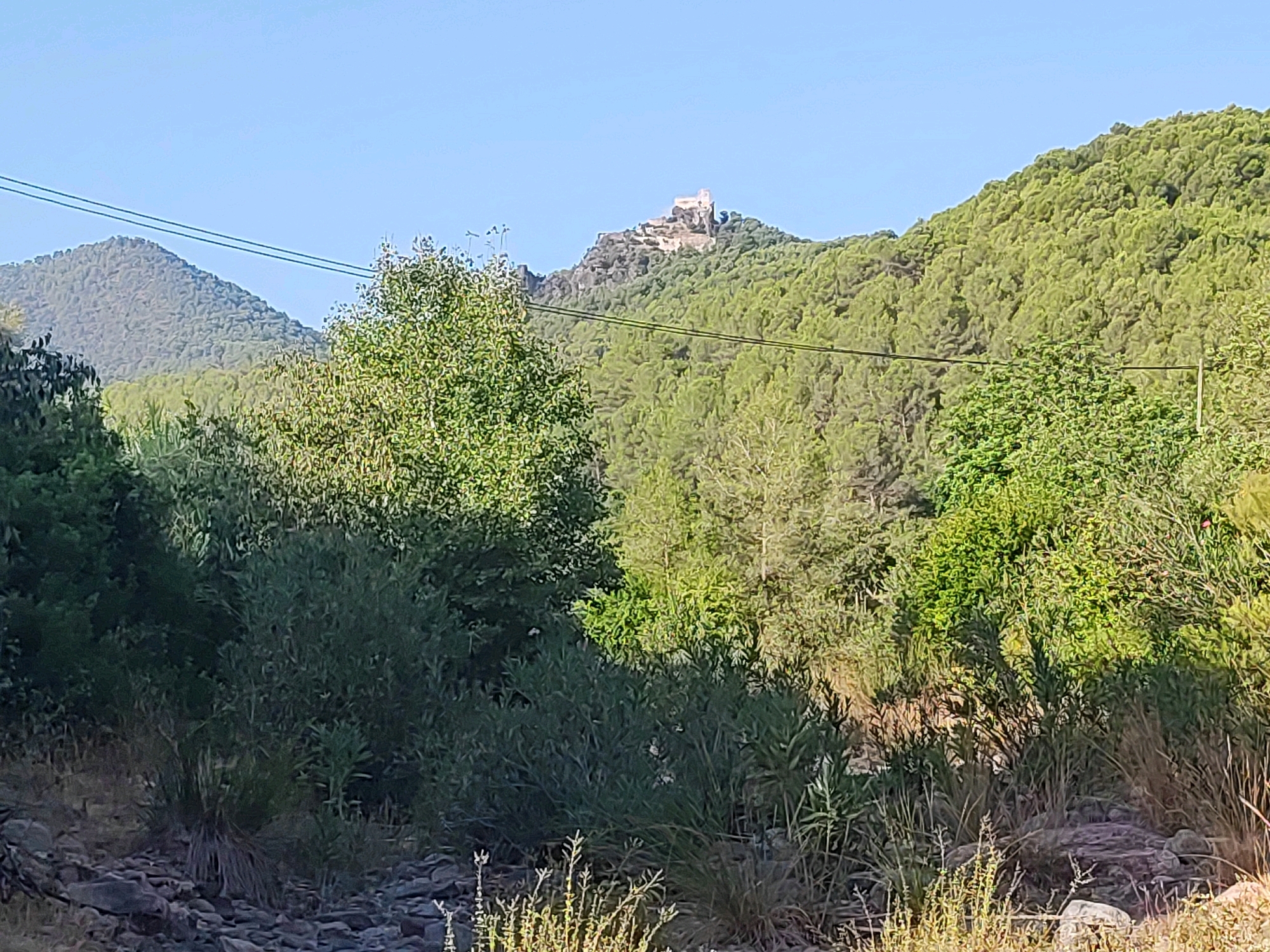 The image depicts a landscape with rolling green hills covered in dense vegetation, likely pine trees. Atop one of the hills in the distance, a cluster of stone ruins, possibly a castle or old fortress, is visible. A clear blue sky forms the backdrop. In the foreground, a rocky, dry streambed or embankment is visible, with various types of greenery, including bushes and tall grasses. Power lines are stretched across the upper portion of the scene, in front of the hills. The overall impression is a natural, semi-arid environment in a rural area. Based on the provided context, this scene is located in or near Suera, Spain.