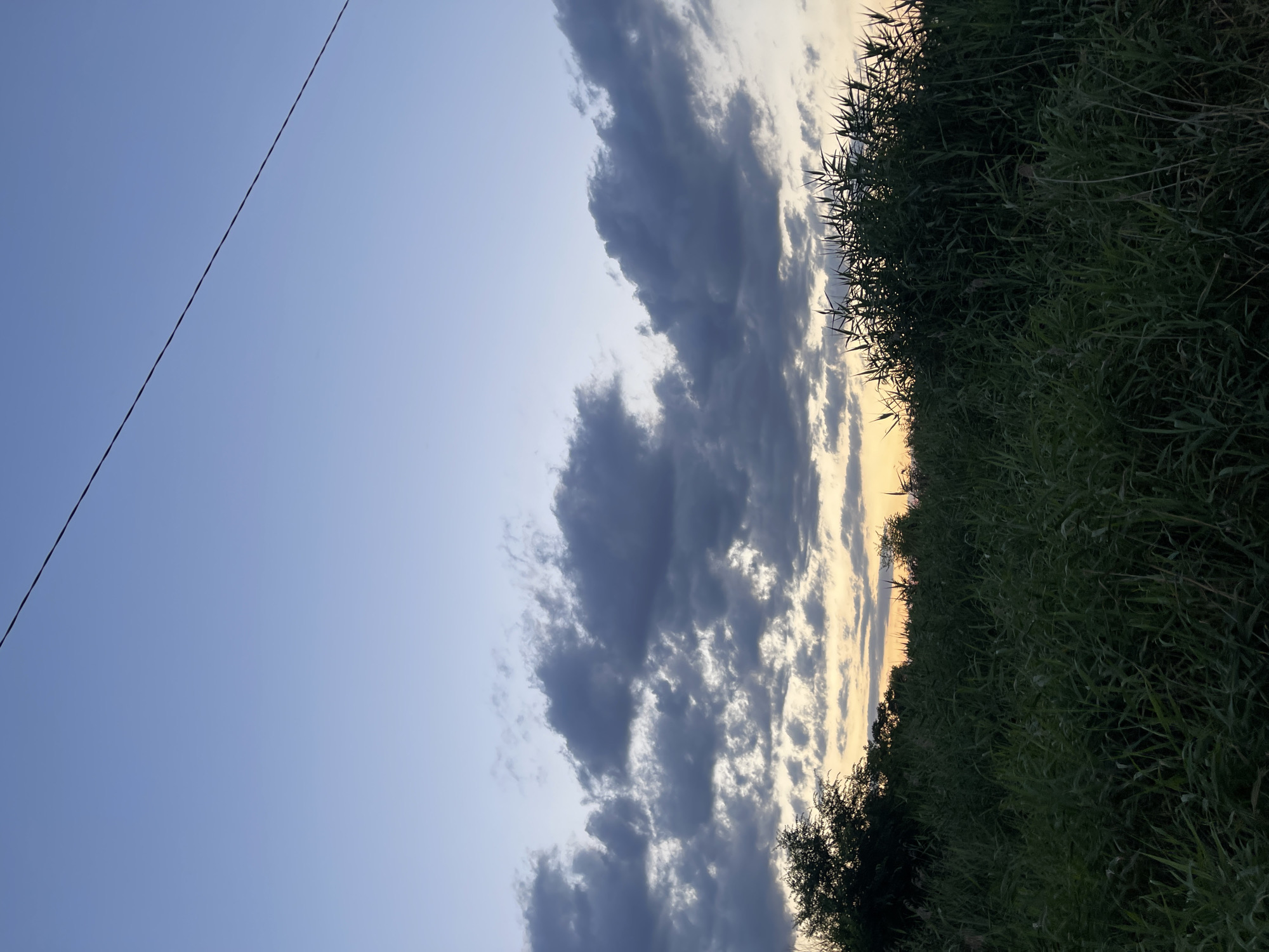 The image depicts a dusky sky with a thin, dark power line stretching diagonally from the upper right to the upper left. Below the sky, dark, textured clouds are visible, with hints of orange and yellow from the setting sun peeking through at the horizon. The foreground is dominated by lush, dark green tall grass and reeds, forming a dense, uneven line across the bottom of the frame. On the left side, the silhouettes of trees are visible, adding to the shadowy atmosphere. The scene appears to be an outdoor natural environment, possibly a field or marshland, at dusk, in the city of Donskoye, Russia. There are no people or visible actions taking place.