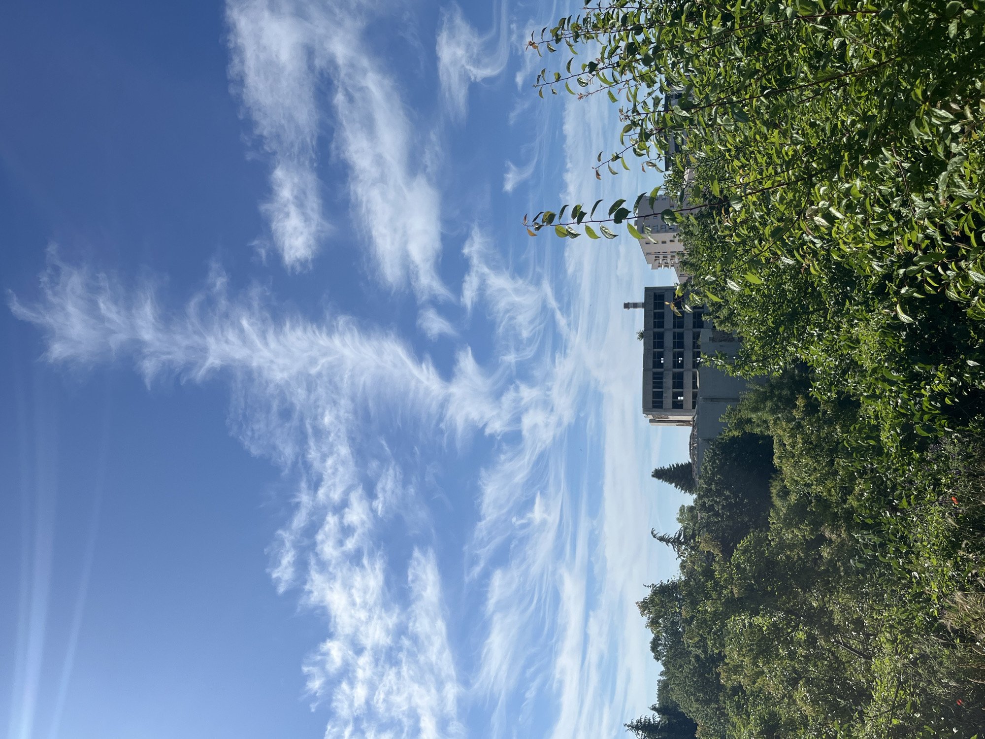 A daytime, vertical, eye-level outdoor shot shows a sky filled with wispy cirrus clouds against a bright blue background. In the middle ground, several buildings, appearing to be under construction or abandoned, are visible behind a dense line of green trees and foliage. The building on the left is a multi-story, concrete structure with visible window frames and a chimney. To its right, a lighter-colored, modern building with multiple windows stands. The foreground is dominated by the lush green leaves of trees and smaller plants. The scene is likely in Varna, Bulgaria, possibly in an area undergoing urban development or with abandoned industrial sites adjacent to green spaces. There are no people or animals visible.