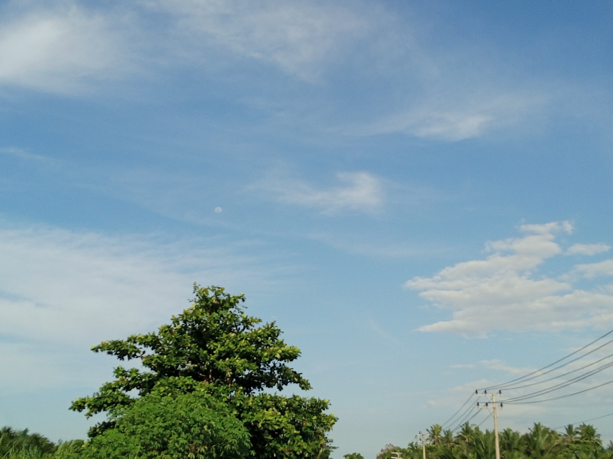 A bright blue sky with streaks of clouds is above lush vegetation. A tree dominates the lower left corner, and power lines run along the right side of the image. Other smaller trees are present in the background, suggesting a tropical or rural setting. It is daytime, and the lighting is natural. The presence of power lines and vegetation points towards a rural or suburban area in Cotentung, Indonesia. A circular object, potentially the moon, is visible in the distance.