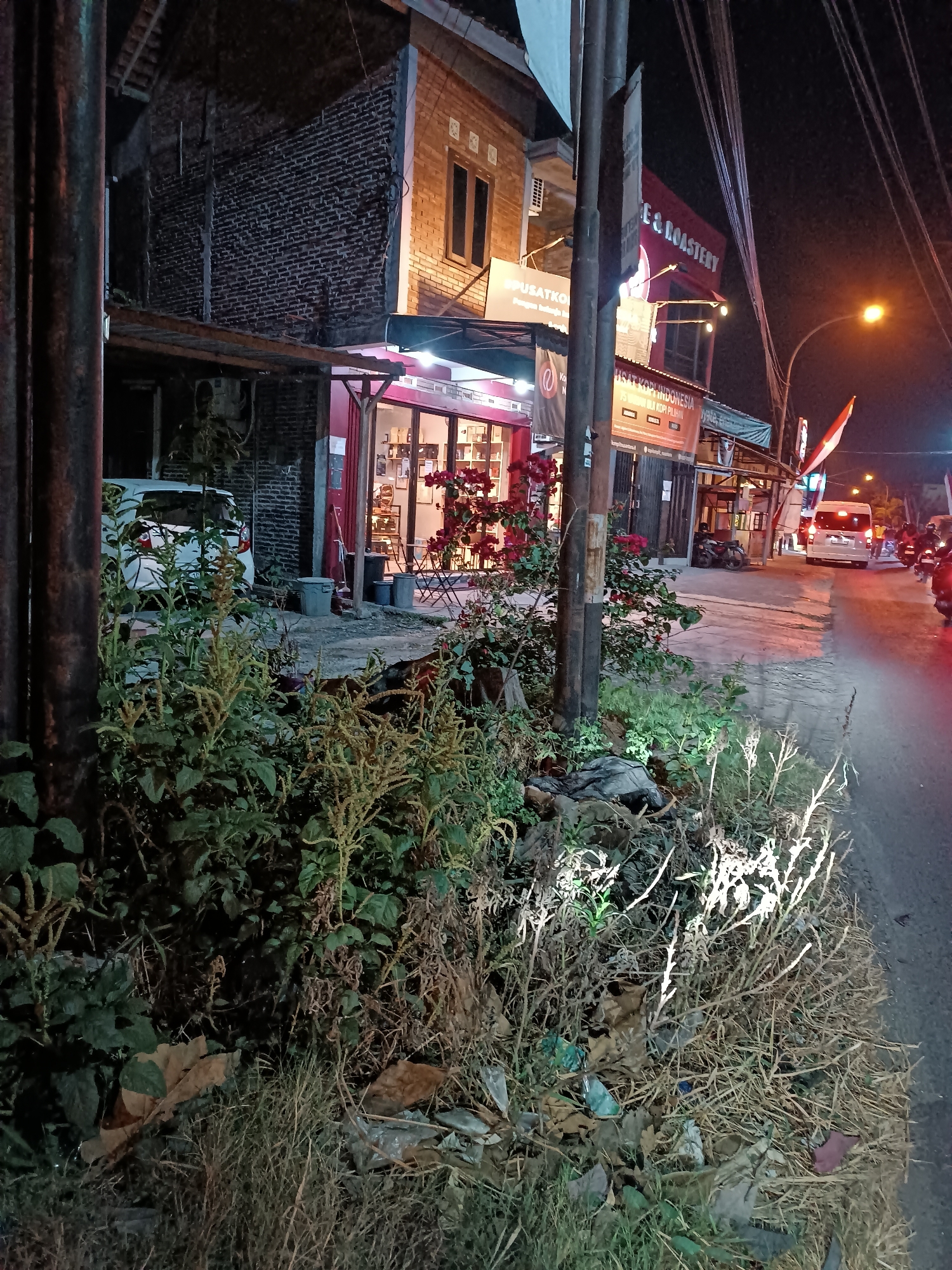 This is a nighttime street-level, slightly elevated, medium shot of a commercial area in Pleret, Indonesia. The scene is illuminated by streetlights and interior lights from the businesses. In the foreground, there is a patch of overgrown vegetation, including dry grasses, weeds, and some leafy plants. Litter is visible among the plants, including plastic wrappers and other debris. A dark, metallic pole stands vertically on the left, and another pole with a sign is in the center.
Behind the vegetation, a white van is parked on the side of the road. To the right of the van, there is a building with a brick facade and windows. A red awning extends over the storefront, and inside, display shelves and tables are visible. Red flowers are blooming on a bush in front of the storefront.
Further down the street, there are more storefronts, one with a large red sign that says "E & ROASTERY". Banners are hanging on poles, with text that appears to be in Indonesian. A red and white Indonesian flag is displayed on a pole. Various people are on motorcycles and in vehicles further down the street, indicating ongoing activity. The road surface is paved, and it appears to be a busy commercial street at night.