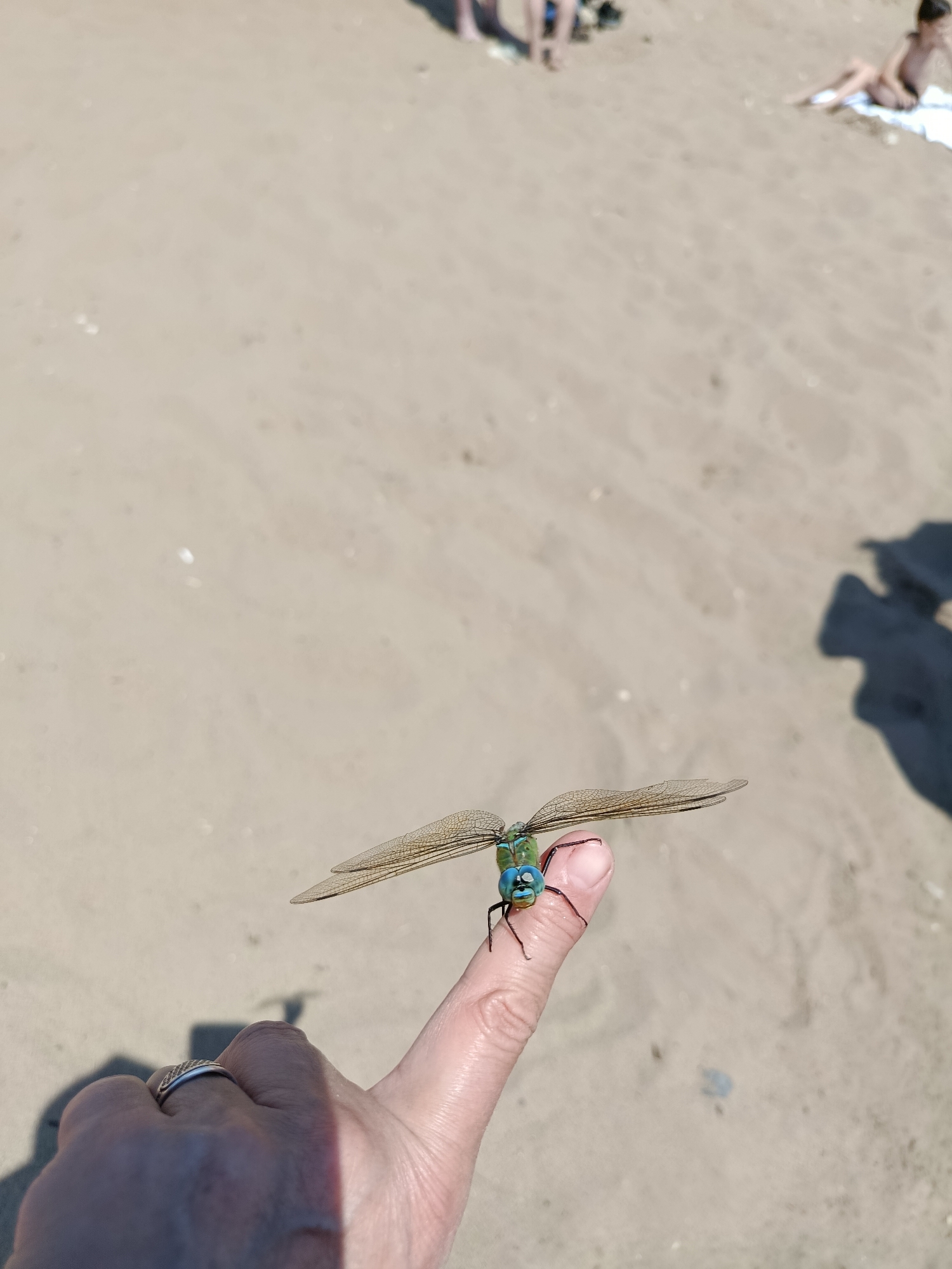 The image shows a close-up of a dragonfly perched on a person's thumb on a sandy beach. The dragonfly has large, iridescent wings and bright blue eyes. The person's hand is visible, wearing a silver ring. In the background, there are blurred figures of people and shadows on the sand. The setting appears to be a sunny day at a beach. This image was taken in Saratov, Russia.