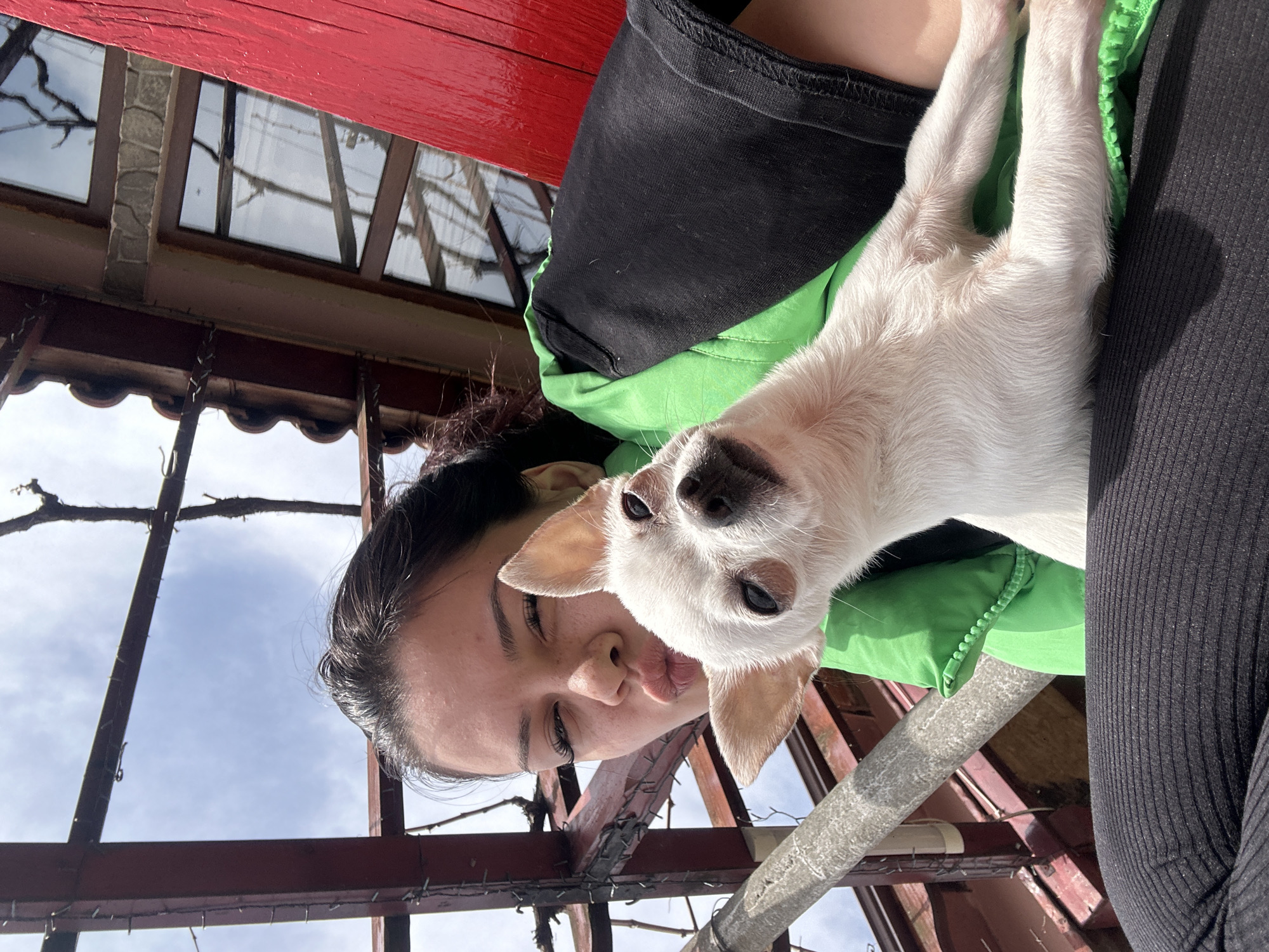 A woman is holding a small, light-colored dog. She is wearing a green jacket with a black shirt underneath. The dog is resting against her. The background includes a red-painted structure, possibly a roof or an architectural element, and metal bars framing a view of the sky. The location is Chubra, Bulgaria, as inferred from the request. No specific buildings or landmarks are visible to confirm the precise location within Chubra.