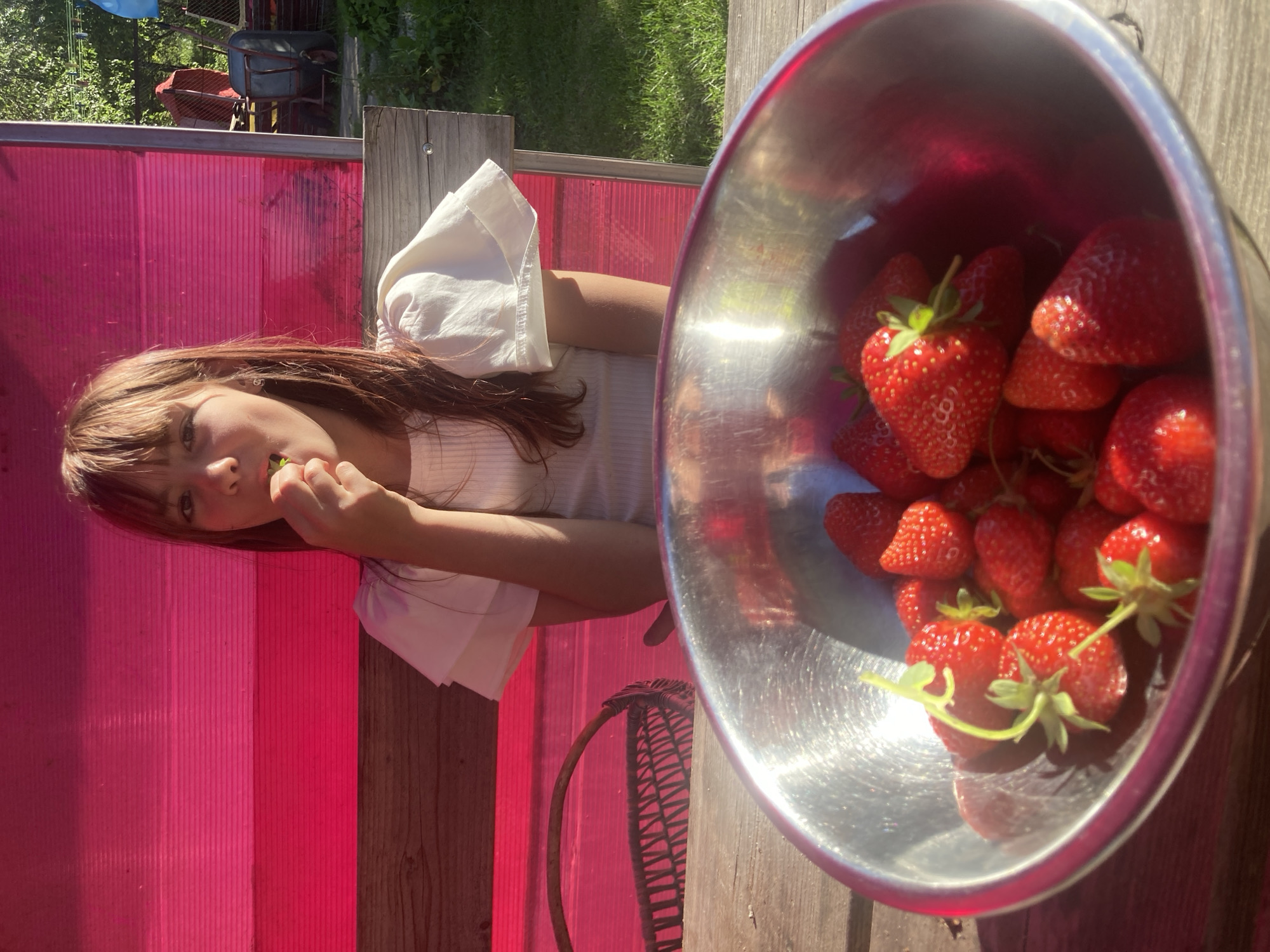A young girl with long brown hair and bangs is sitting at a wooden table outdoors, in what appears to be a rural setting. She is wearing a white top with ruffled sleeves and is bringing a strawberry to her mouth. In the foreground, a large metal bowl overflows with fresh strawberries. Behind the girl is a pink, translucent wall, and beyond that, green grass and trees are visible, along with some garden equipment. The lighting suggests it is daytime and sunny. The scene is likely set in a backyard or garden area.