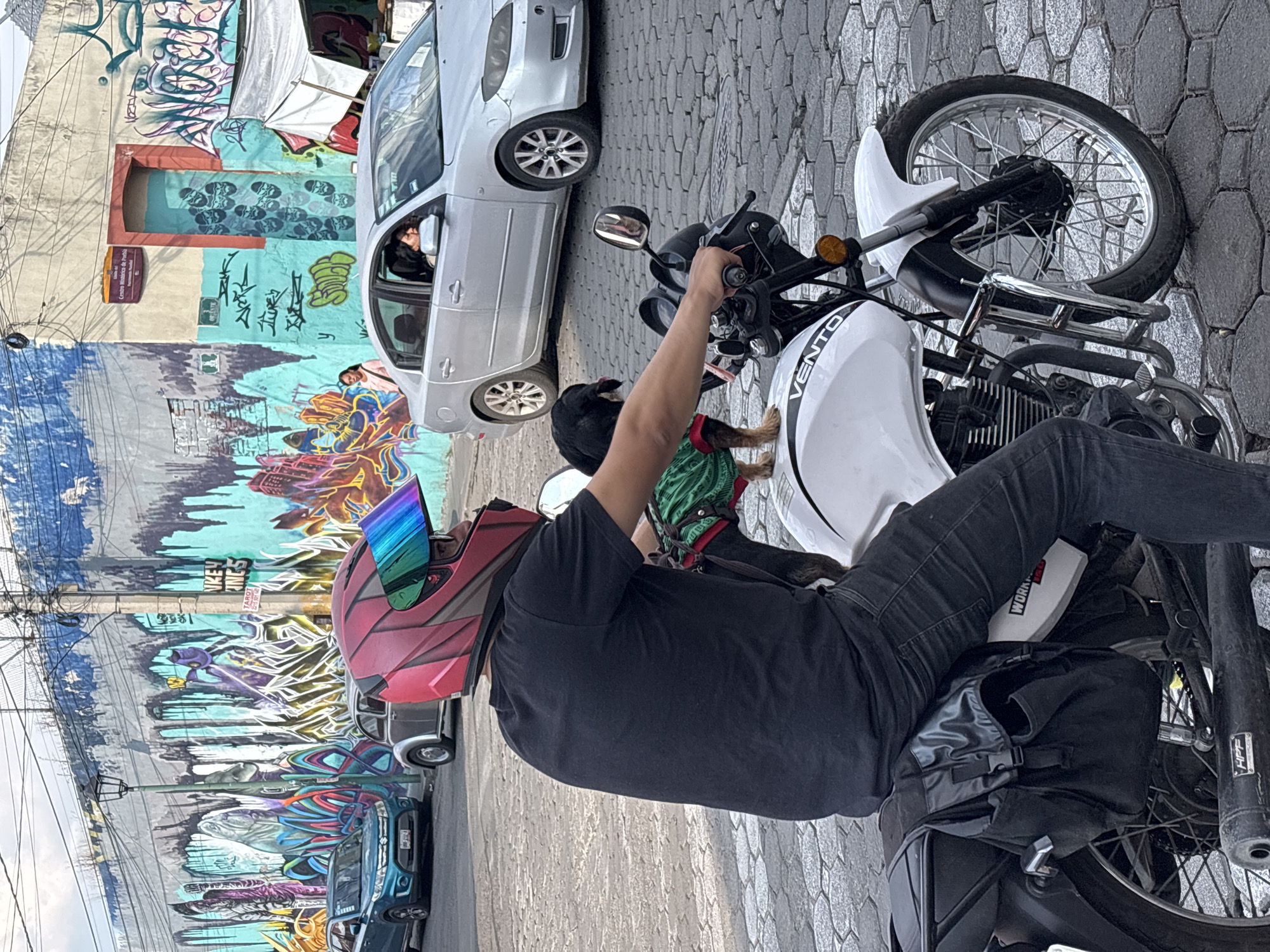 A man wearing a red and black helmet with a rainbow visor sits on a white Vento brand motorcycle on a cobblestone street in Puebla, Mexico. A small dog wearing a green and red harness stands on the gas tank between the man and the handlebars. A silver car is parked beside the motorcycle. The background features a tall building covered in vibrant graffiti art.