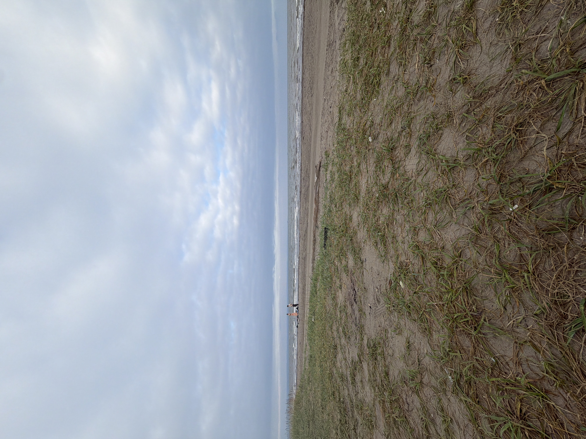 The image depicts a beach scene in Aniva, Russia. The foreground is dominated by a sandy area with sparse, dry grass and some patches of greener vegetation. In the middle ground, there is a wet sand area that transitions to the ocean. The ocean is visible in the background, with moderate waves and a choppy surface. The sky is overcast with thick, gray clouds, suggesting a cool or cloudy day. Two figures, appearing to be adults, are standing on the beach near the water's edge. They are positioned side-by-side and seem to be facing the ocean, though their specific interaction is unclear from the image. The overall environment is natural and undeveloped, characteristic of a coastal area.
