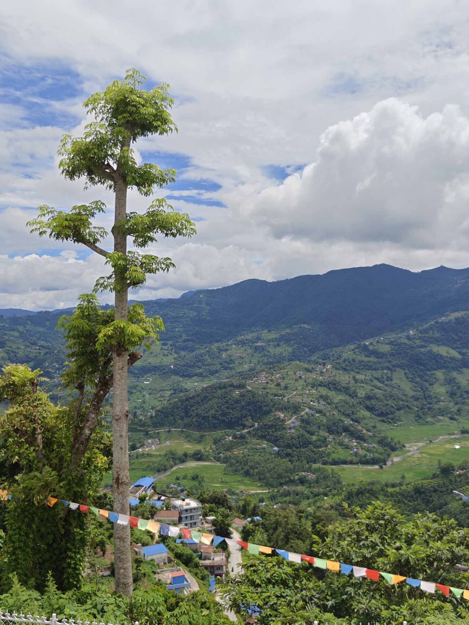 This is a vertical, medium shot photograph taken from an elevated position, looking out over a lush green valley and rolling hills. In the foreground, a tall, slender tree with sparse, light green foliage stands prominently on the left side of the frame. A string of colorful prayer flags, red, white, blue, yellow, and green, is strung across the lower portion of the image, partially obscured by trees and vegetation.
The middle ground reveals a scattered settlement of buildings with blue and white roofs, nestled among the verdant slopes. Some buildings appear to be under construction. A winding road is visible, leading through the settlement.
The background is dominated by a series of layered, deep green mountains stretching towards the horizon, fading into a hazy blue. The sky is a mix of bright blue patches and fluffy white clouds, suggesting a partly cloudy day. The overall impression is one of a tranquil, rural landscape in the vicinity of Pokhara, Nepal, likely a viewpoint offering panoramic vistas of the valley and surrounding Himalayan foothills.