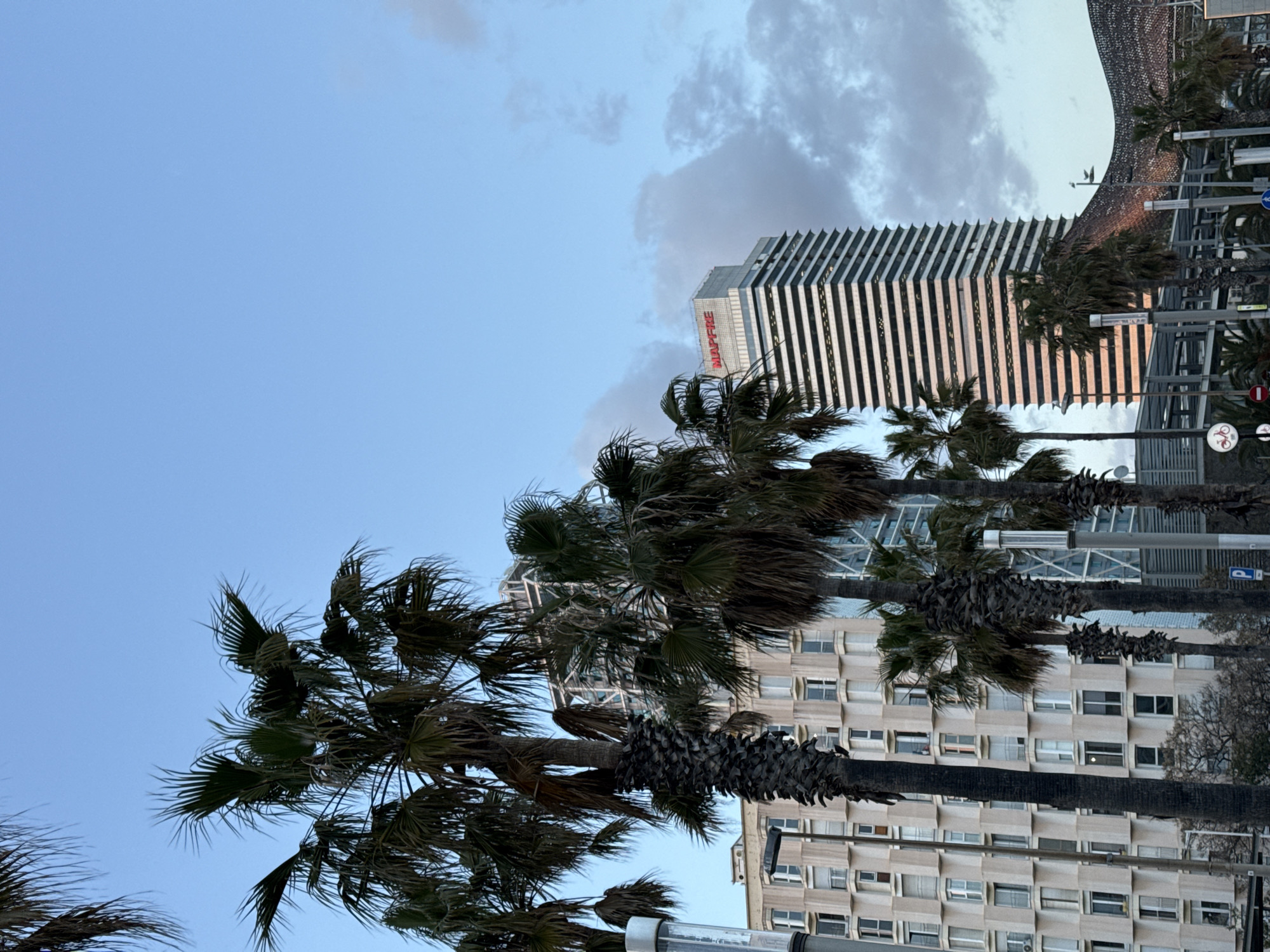 The image depicts a street scene in Barcelona, Spain, featuring a row of palm trees lining the avenue. Behind the trees are several buildings, including a tall, modern building with the red "MAPFRE" logo near its top. Other buildings appear to be residential or commercial with repetitive window patterns. The sky is a gradient of blues and some cloud coverage. The scene is photographed from a low angle, emphasizing the height of the trees and buildings. The image is slightly rotated counter-clockwise. There are traffic and street signs visible along the sidewalk.