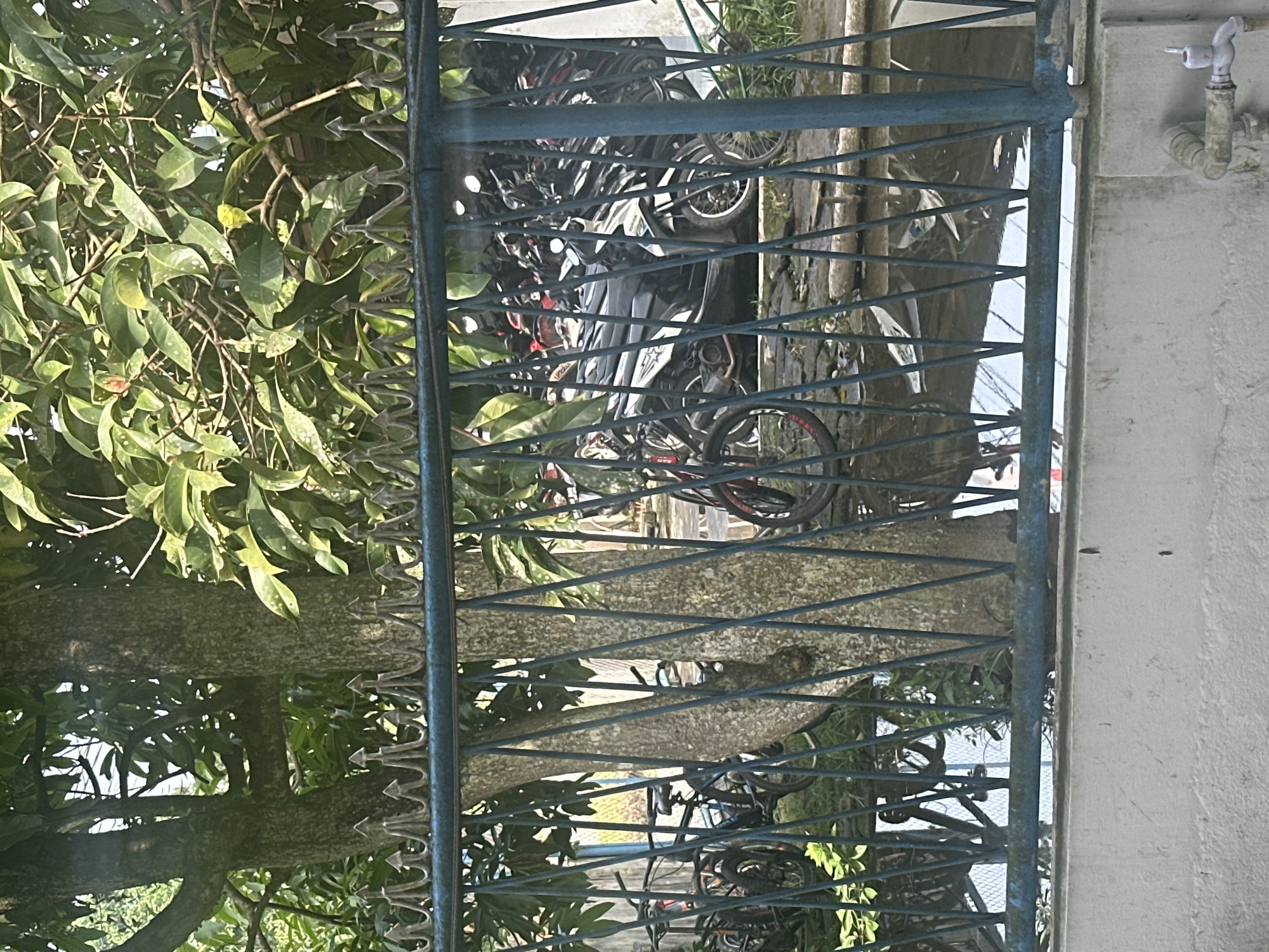 The image shows a collection of motorcycles parked behind a blue metal fence with decorative points. The fence is in the foreground and partially obscures the view of the motorcycles. Behind the fence, several trees with green leaves are visible, casting shadows. The ground appears to be wet and reflective, suggesting it might have recently rained. The overall setting suggests an outdoor area in a city, possibly a parking lot or an open space. The presence of parked motorcycles is a common sight in urban environments in Indonesia. The image does not provide specific clues to pinpoint the exact location within the City of Binjai, Indonesia, but it depicts a scene that is typical of the region.