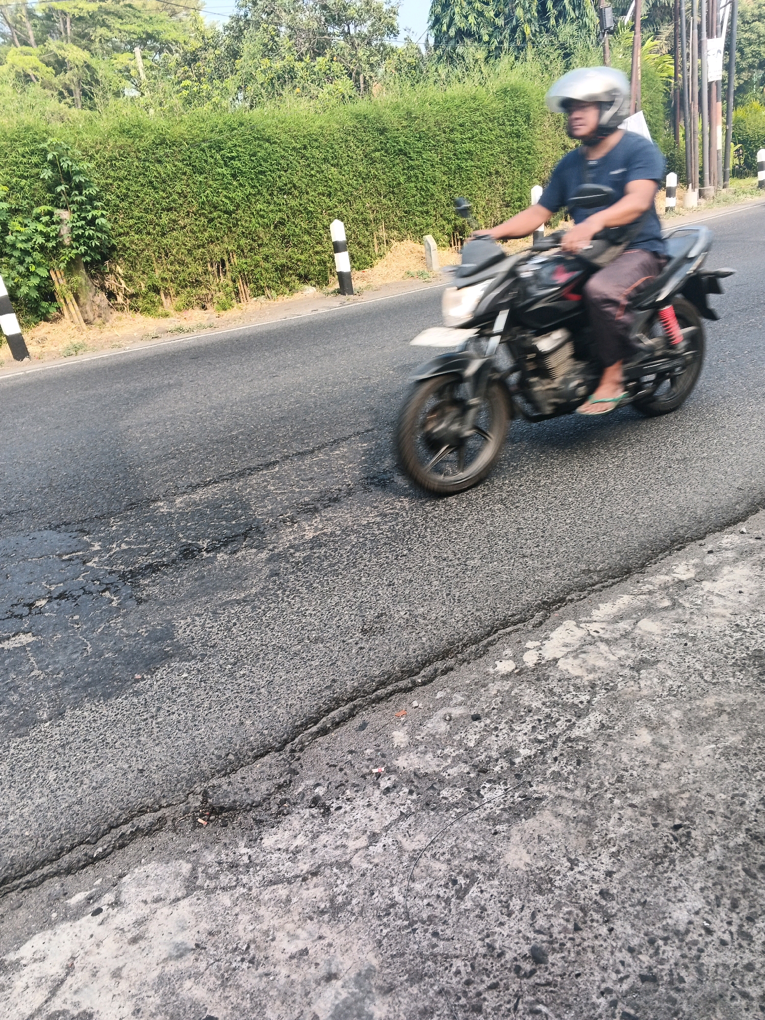 A person wearing a blue shirt and a silver helmet rides a black motorcycle down a cracked asphalt road in Ungaran, Indonesia. The motorcycle is moving from left to right in the frame. A dense green hedge runs along the side of the road, with white and black striped posts placed at intervals along the hedge. The road is visibly in disrepair, with large cracks and patches of worn asphalt. The background consists of trees and a clear sky.