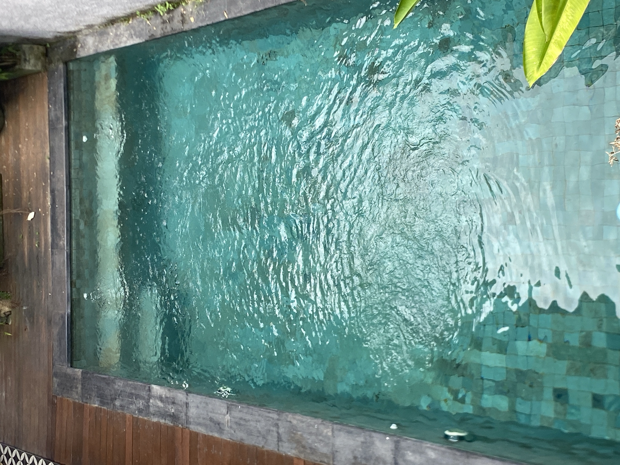 The image shows a clear, turquoise swimming pool with a tiled bottom, located outdoors in North Kuta, Indonesia. The pool is surrounded by a dark, stone border and a wooden deck on the left side. There are ripples on the surface of the water, indicating movement, possibly from a water feature or circulation system, as evidenced by a few small bubbles near the top edge of the pool. Two bright green tropical leaves are visible in the lower right portion of the image, partially submerged in the water. The environment suggests a serene, resort-like setting. There are no people or animals visible in the frame.