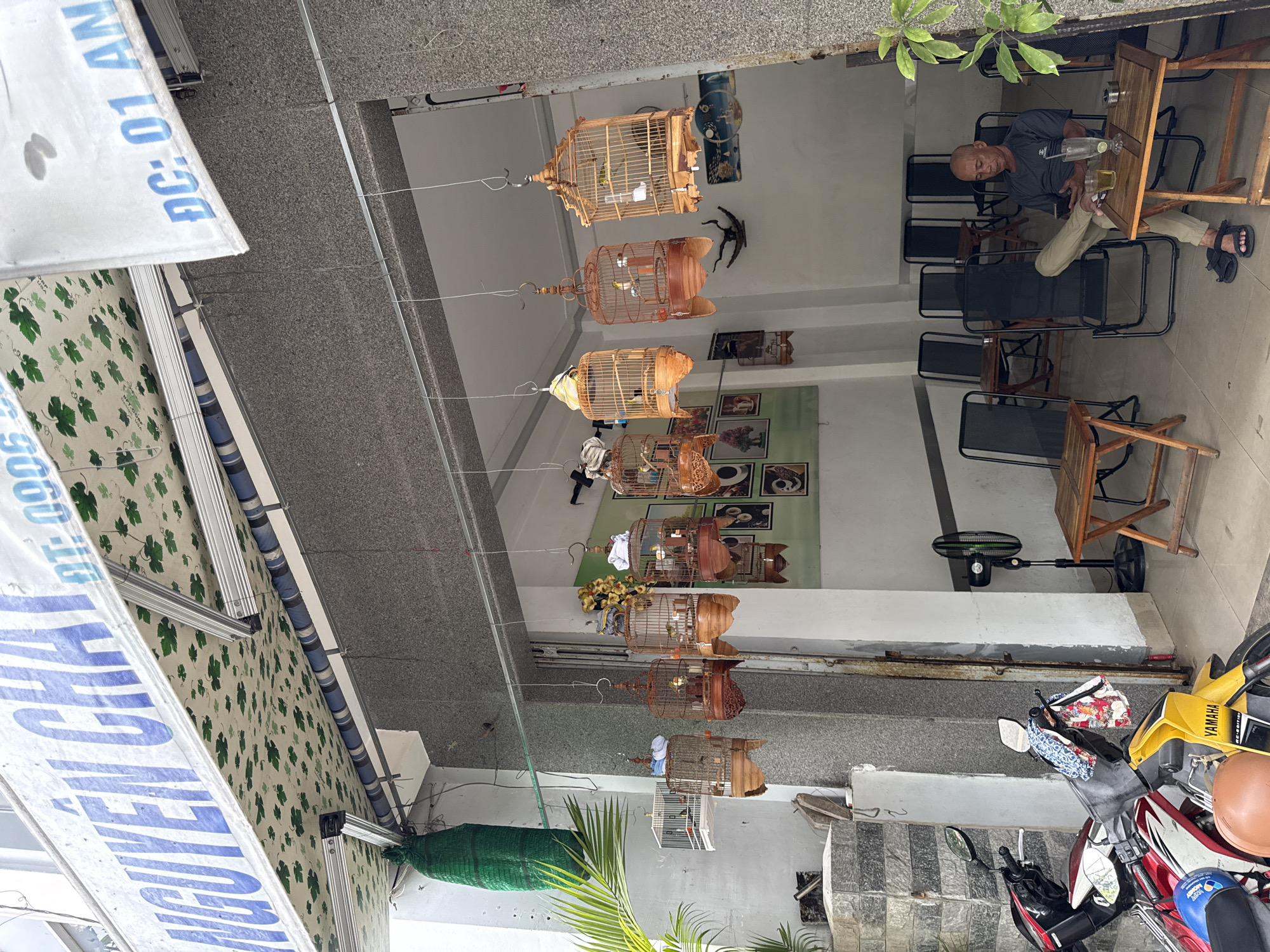 The image depicts the exterior of a shop in Nha Trang, Vietnam, likely a cafe or bird shop, based on the presence of numerous bird cages hanging from a metal rod. A canopy with a green leaf pattern extends over the entrance. Text on the canopy reads "NGUYEN CHAT" and "DT: 0906" and "DC: 01 AN".
In the foreground, a red and yellow motorcycle is parked. To the left, there are stairs leading up to the shop. Inside the shop, several tables and chairs are arranged. A man is seated at a small table, looking at his phone. He is wearing a dark t-shirt and light-colored pants. On the table in front of him are a glass with a drink, a cigarette pack, and an ashtray. A standing fan is visible in the background. The walls of the shop are painted white, and there are framed pictures on the walls. Several empty bird cages are hanging outside the shop, with some containing birds.