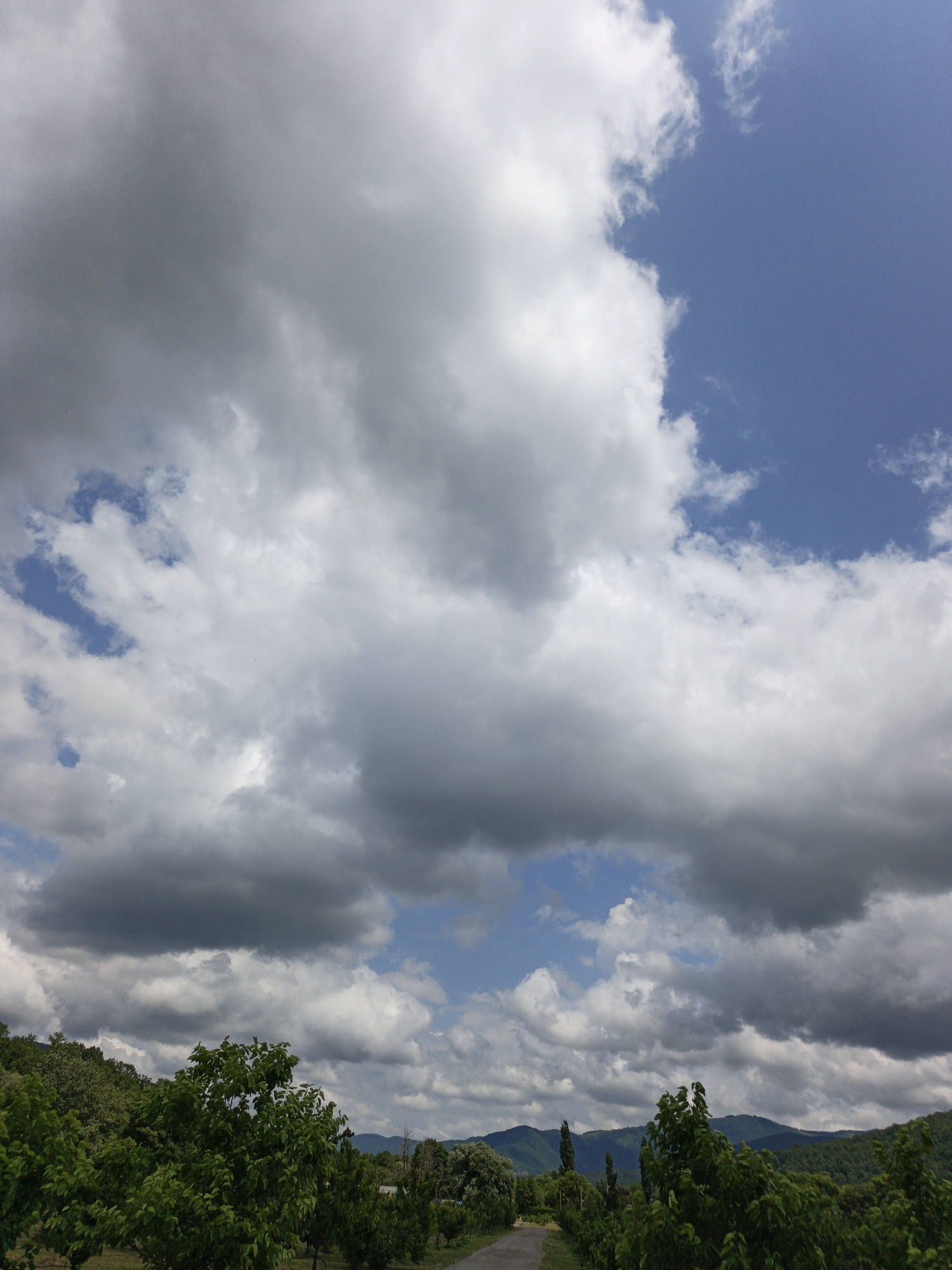The image captures a dramatic sky over a rural landscape. Dominating the scene are large, billowing clouds, ranging from bright white to dark gray, suggesting a dynamic weather system. Patches of clear blue sky are visible between the clouds.
Below the expansive sky, a lush green environment unfolds. The foreground is filled with the dense foliage of trees, some appearing to be fruit trees, with vibrant green leaves. A dirt or gravel path winds through the greenery, suggesting a rural road or trail. In the distance, rolling hills covered in vegetation form a layered backdrop against the sky. The overall impression is one of natural beauty and potentially impending weather changes. The location is identified as Pshada, Russia.