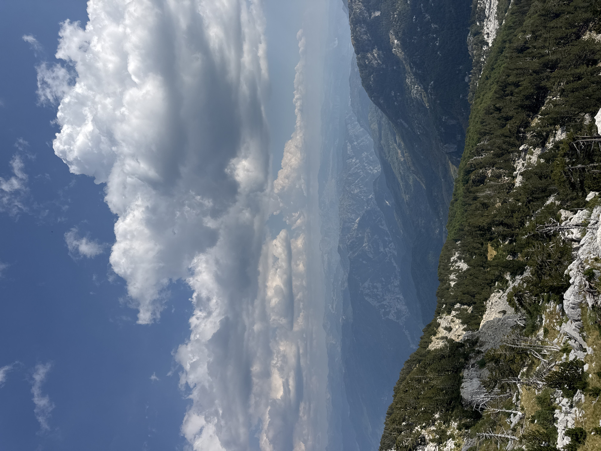 This is a vertical, eye-level, long shot of a mountainous landscape under a partly cloudy sky. The foreground features a rocky, sparsely vegetated slope covered with dead trees and dark green pine trees. The mid-ground reveals a dense forest of pine trees covering a sloping mountainside. The background displays a vast expanse of layered mountain ranges fading into a hazy blue horizon. The sky is dominated by large, white, cumulus clouds against a bright blue backdrop. There are no people or structures visible in the image. The scene appears to be a natural, remote wilderness area.