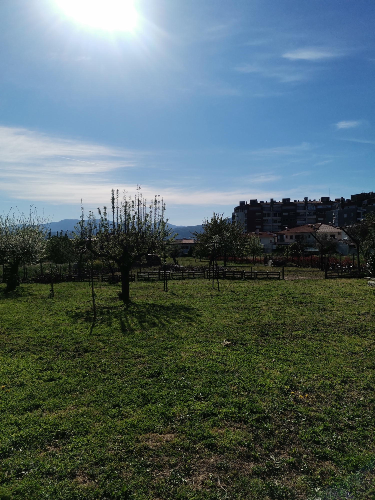 The image shows a grassy field with several trees in Vila Real, Portugal. A wooden fence runs through the midground, separating the field from houses and a taller apartment building. Mountains are visible in the background. The sky is blue with scattered clouds, and the sun is shining brightly.