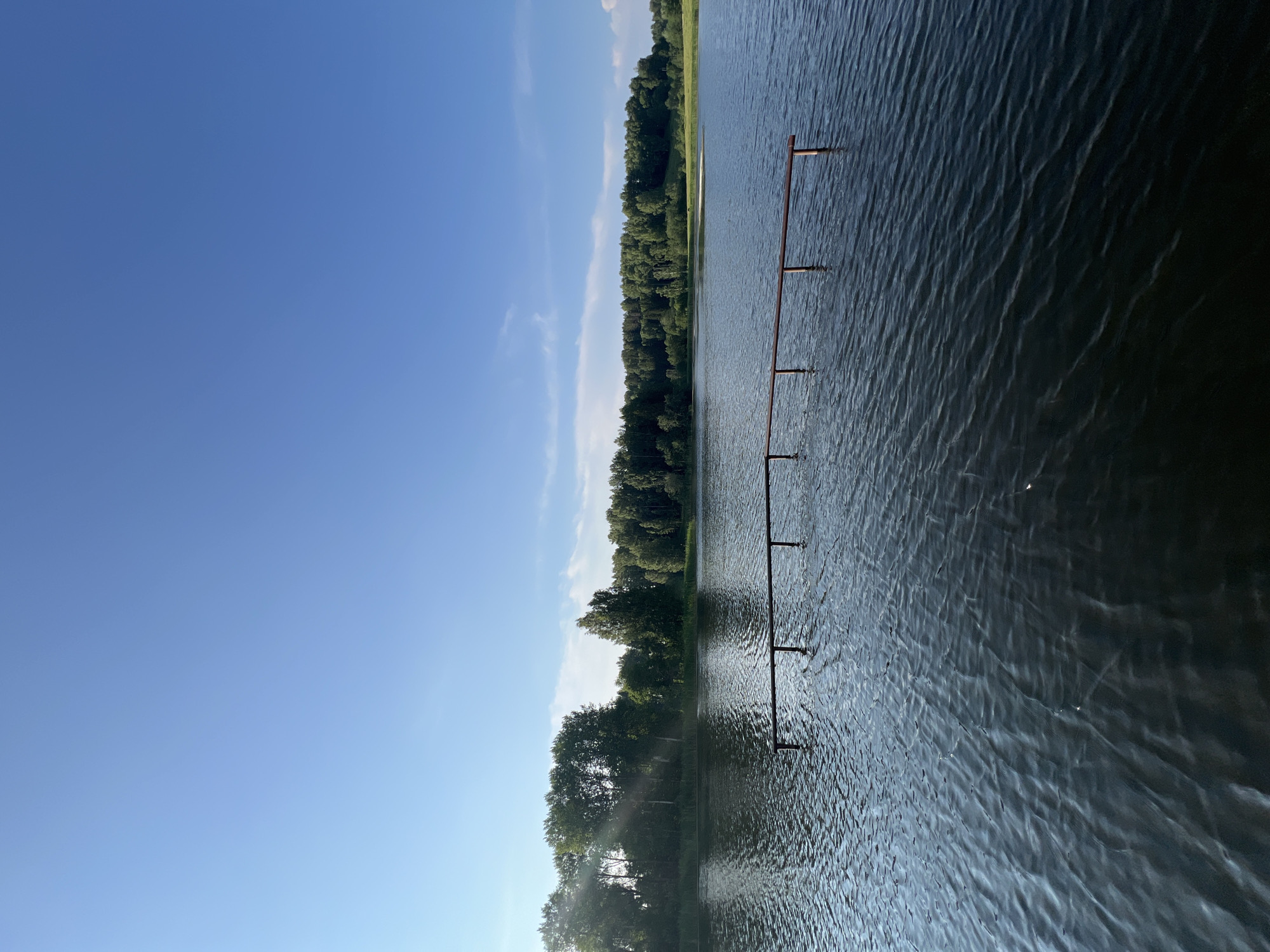 A low-angle, full shot captures a tranquil lake with a clear blue sky overhead. In the foreground, a simple wooden structure extends horizontally across the water, supported by vertical posts that emerge from the lake's surface. Ripples gently disturb the dark water, reflecting the sunlight and creating a shimmering effect. The background is dominated by a dense line of green trees, forming a lush forest that stretches across the horizon. The scene appears to be a peaceful natural setting, potentially a park or a rural area.