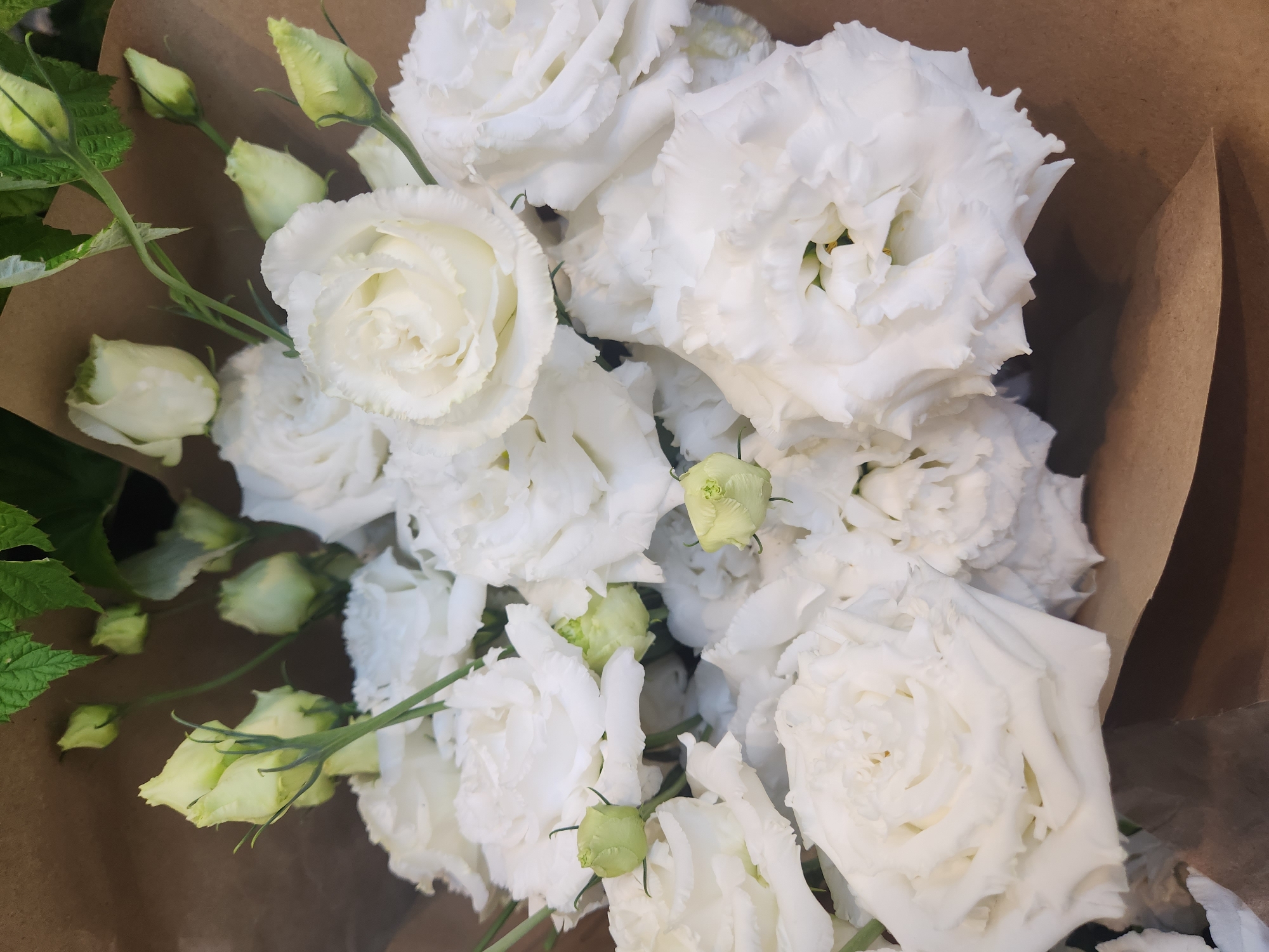 The image shows a close-up, overhead view of a bouquet of white Eustoma flowers, also known as Lisianthus, bundled in brown paper. The flowers are in various stages of bloom, with some fully open and displaying delicate, ruffled petals, while others are still in bud stage, with pale green sepals. Several green leaves are visible among the flowers, along with slender green stems. The background is a blurred brown paper wrapping. The lighting suggests an indoor setting, possibly a florist's shop, with soft, diffused light. There is no discernible text in the image. The composition focuses entirely on the flowers, highlighting their soft textures and elegant white and pale green hues. The overall impression is one of natural beauty and delicate artistry. The context of Moscow, Russia, does not add specific visual cues to this particular image, as the subject matter is universally recognizable.