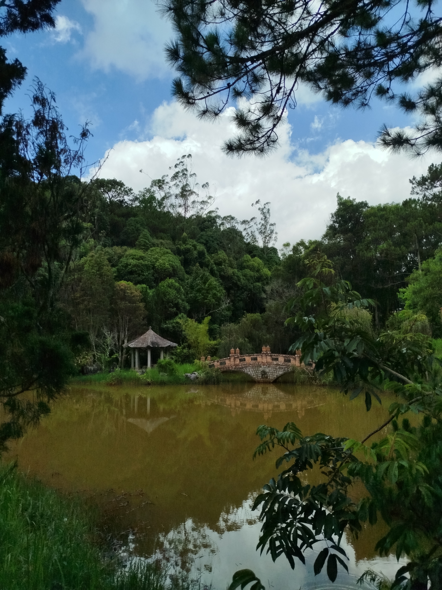 The image shows a lake with a pavilion and a bridge in Cam Ly - Da Lat, Vietnam. The lake is murky, with reflections of the pavilion and bridge visible on the surface. A stone bridge with brick details connects to the pavilion. Lush green trees surround the lake. The sky is partly cloudy, visible through the gaps in the branches overhead.