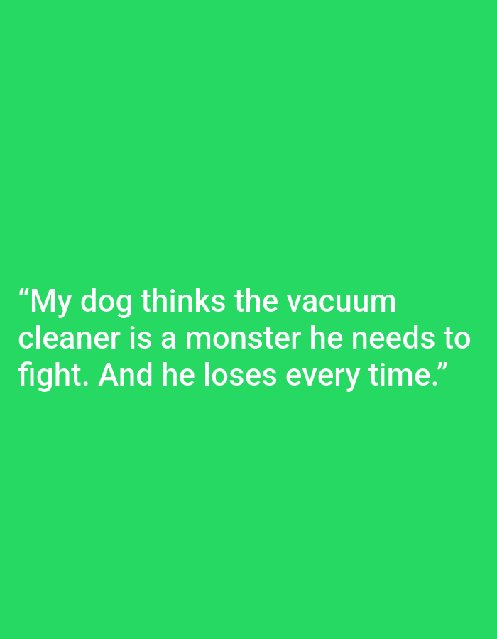 The image displays a bright green background with white text. The text reads, "My dog thinks the vacuum cleaner is a monster he needs to fight. And he loses every time." There is no discernible location in Kępno, Poland, as the image is a simple graphic with text and a solid colored background. There are no people, subjects, objects, actions, or interactions depicted. The environment is solely the green background.
