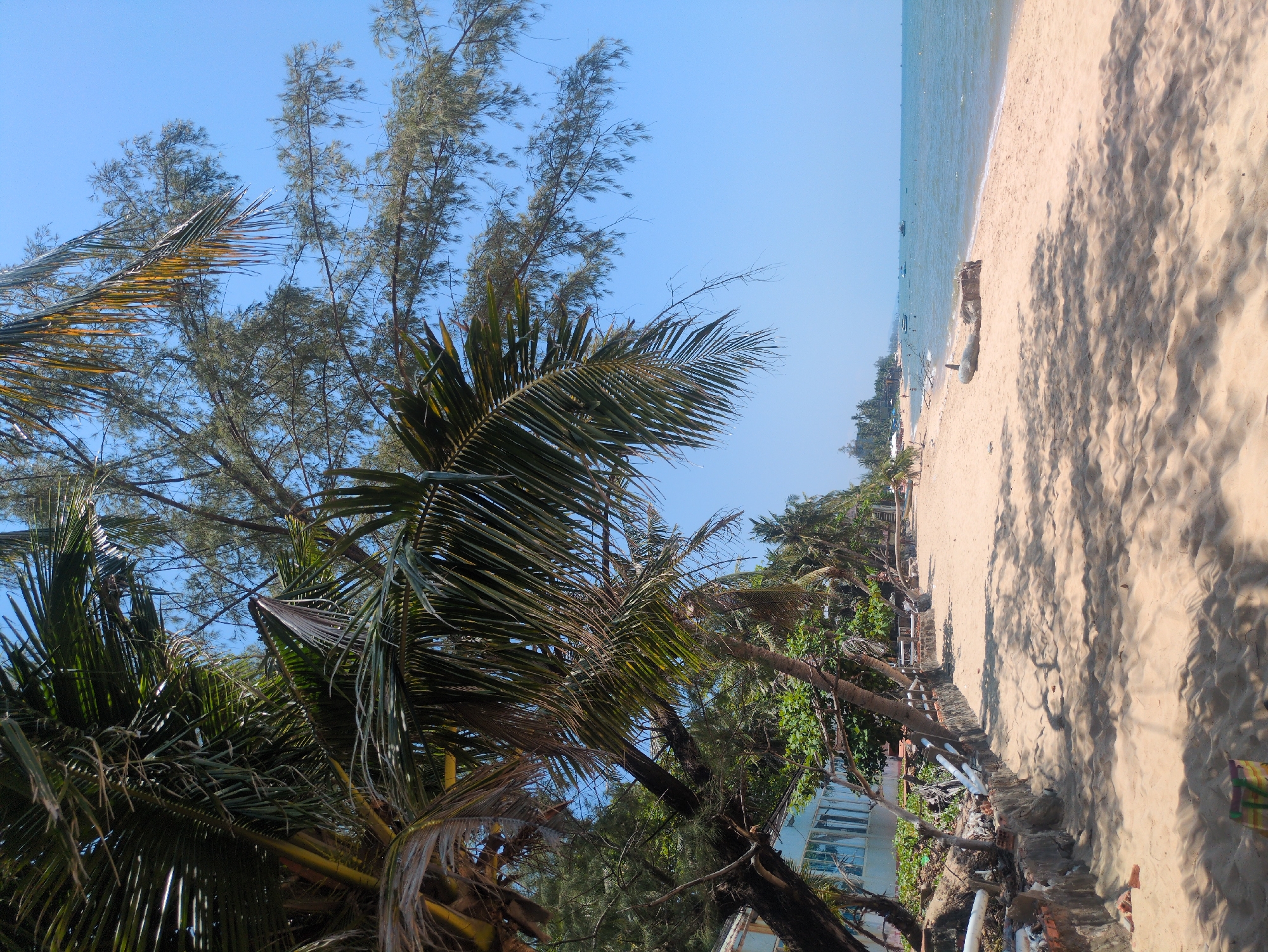 The scene is a view of a beach in Phú Quốc, Vietnam. The beach is sandy with a light-colored hue, and the sea is visible in the distance. Palm trees and other foliage are prominent in the foreground, framing the beach. There is evidence of construction or remnants of buildings along the edge of the beach where the vegetation begins. The sky is clear and blue.
