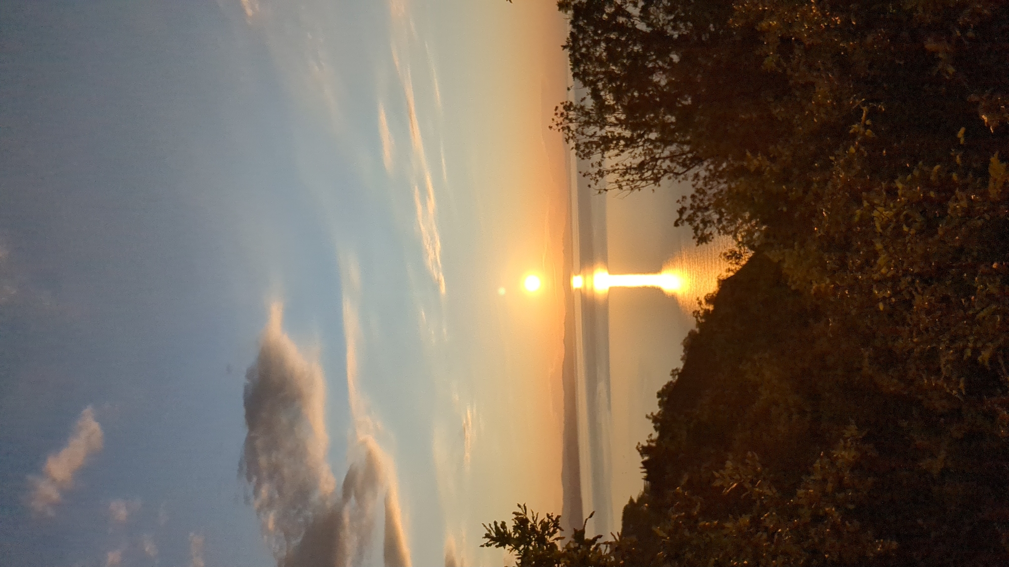 A serene sunset over a body of water is depicted in this image, likely taken from a vantage point overlooking the Lazurnoe region of Ukraine. The sun, a brilliant orange orb, is positioned just above the horizon, casting a shimmering reflection down the center of the water. Wispy clouds, tinged with pink and orange, drift across the pale blue sky. In the foreground, the dark silhouettes of trees and foliage frame the scene, creating a sense of depth and natural beauty. The overall atmosphere is one of tranquility and natural splendor.