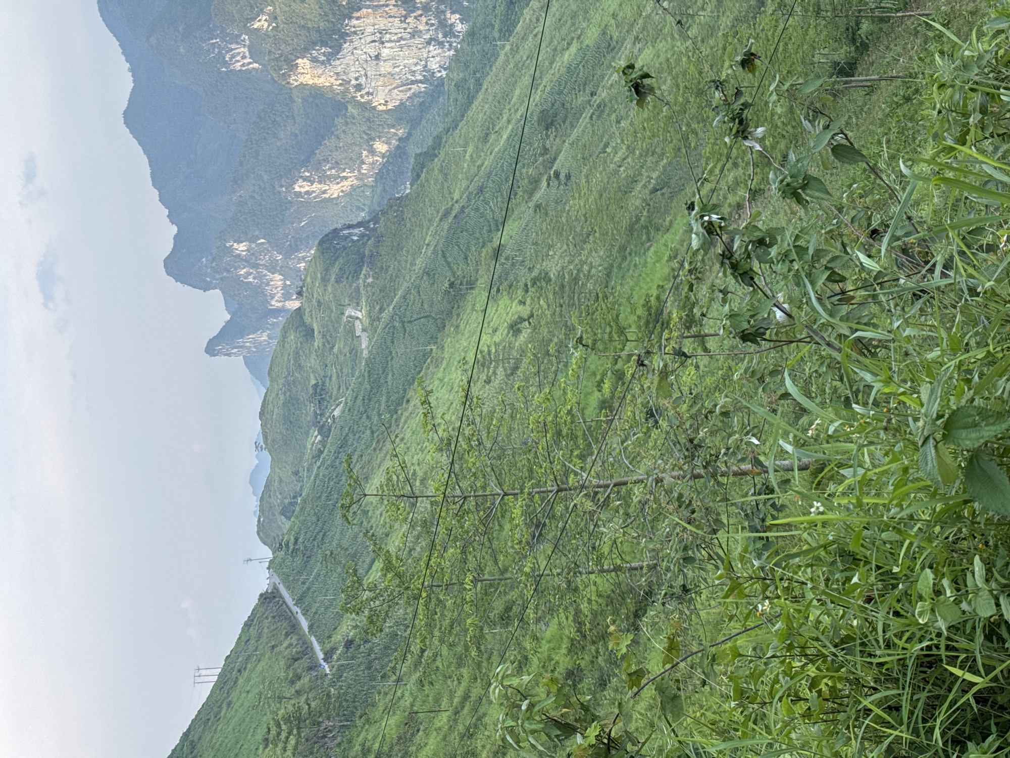 The image depicts a mountainous landscape in Đường Thượng Commune, Vietnam. Lush green vegetation covers the slopes, with power lines stretching across the landscape. A road winds along the hillside, with power pylons visible. Distant peaks are visible, partially obscured by mist. Foreground vegetation, including trees and grasses, are also visible.