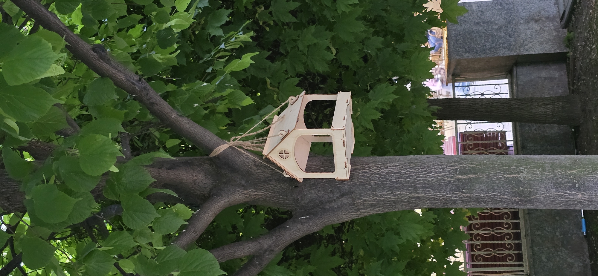 A light wood birdhouse is hanging from a tree branch with string. The tree is located near a building in what appears to be a city environment. The building has windows with ornate metal bars. The location is near Grozny, Russia.