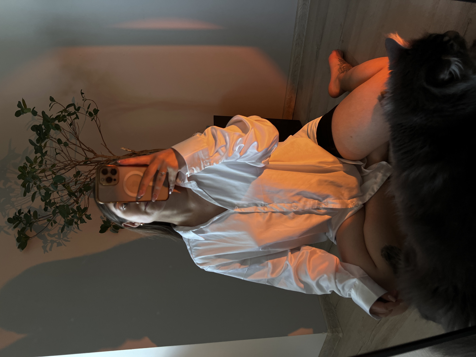 This media file depicts a selfie taken by a young woman in what appears to be a bedroom in Ternopil, Ukraine. She is lying down, wearing a white button-down shirt and black shorts. Her face is partially obscured by a smartphone she is holding to take the photo. A potted plant with green leaves is positioned next to her, casting a shadow on the wall. A fluffy gray cat is also visible in the frame, partially obscuring the woman's legs. The lighting suggests it might be evening or early morning, with warm hues cast on the wall, possibly from artificial lighting or sunset/sunrise. The woman's expression is neutral, and the overall mood is relaxed and intimate. There is no visible text in the image.