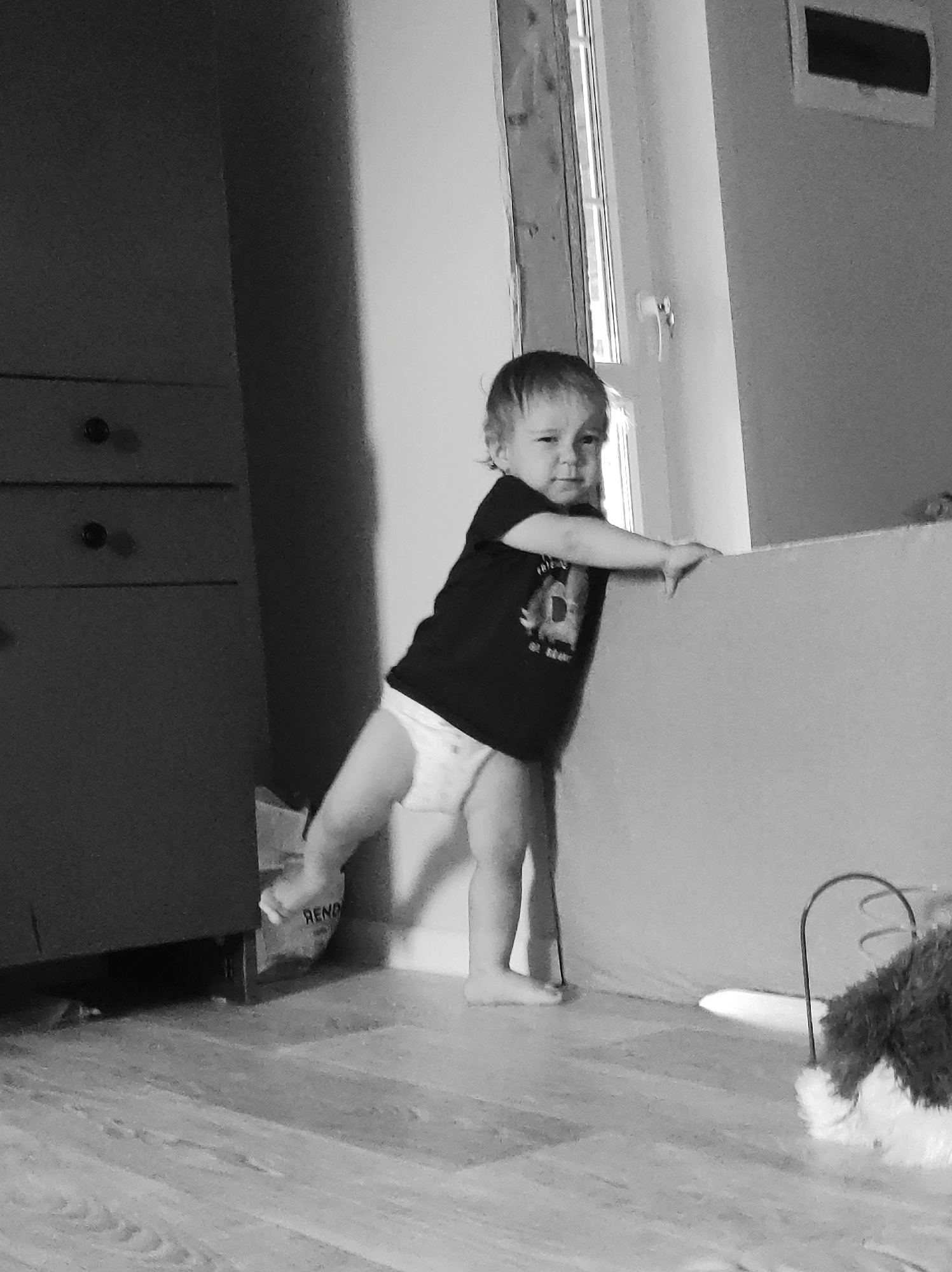 This black and white photograph depicts a young child, possibly a toddler, standing indoors in the city of Unknown, Unknown. The child, wearing a dark t-shirt and a light-colored diaper, is barefoot. Their left foot is slightly raised, and they are using both hands to balance by holding onto a light-colored, elevated surface, which appears to be the side rail of a bed or crib. The child's head is slightly tilted, and a subtle expression is visible on their face.
To the left of the child, a dark, multi-drawer dresser or cabinet with two visible dark circular knobs stands against a wall. Below the dresser, a light-colored object, possibly a bag or box, with the letters "REND" visible, rests on the floor. The floor throughout the scene is composed of light-colored wooden planks. To the right of the child and lower, a fluffy toy with dark and white fur and a curved metal handle is present on the floor.
In the background, a window with vertical panes is visible, allowing light into the room. Above the window, a dark rectangular opening or vent is mounted on the wall. The overall scene suggests an indoor domestic setting.