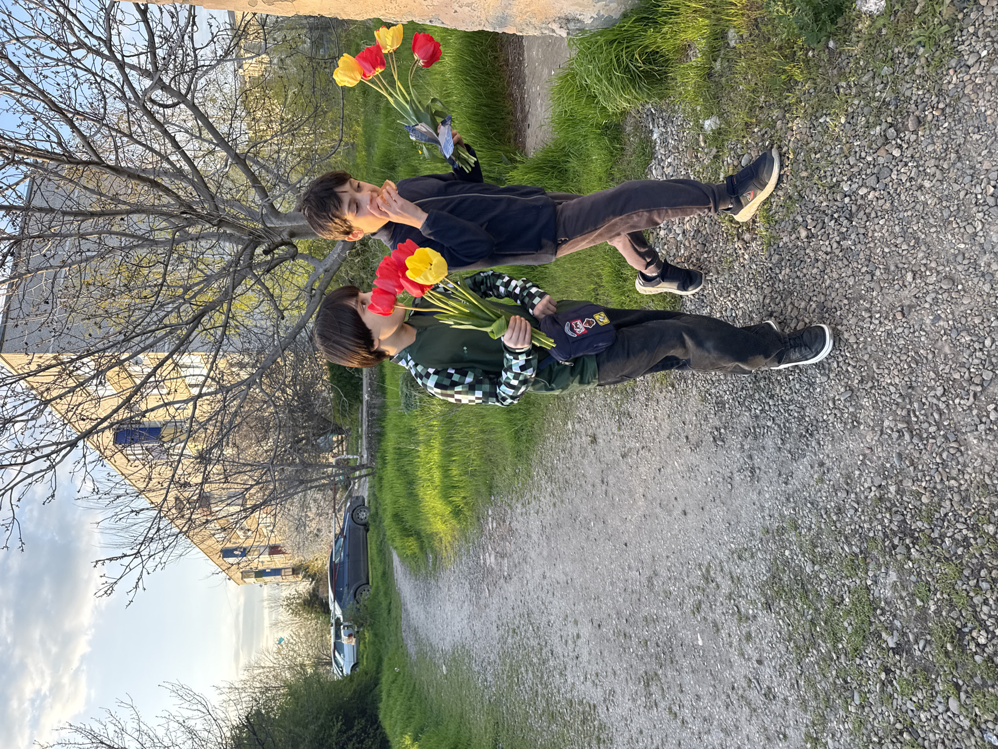 Two young boys are standing on a gravel path outdoors, each holding a bouquet of red and yellow tulips. The boy in the foreground, on the left, is wearing a dark green long-sleeved shirt with a green and white checkered pattern on the upper arms and shoulders, dark pants, and black sneakers. A dark blue fanny pack with colorful embroidered patches is visible at his waist. He is looking down at the tulips he holds. The second boy, positioned slightly behind and to the right, wears a dark blue or black hoodie, dark pants, and black and white sneakers. His hand is near his face, and he appears to be looking upwards or to the side.
The setting features a wide gravel path in the foreground and midground, flanked by vibrant green grass on either side. In the background, a large tree with bare, intricate branches, possibly just beginning to bud, dominates the left side. Beyond the tree and to the right, several light-colored multi-story buildings, possibly residential, are visible, some with blue window frames or awnings. A few cars are parked along the side of the gravel path in the distance.
The time of day appears to be late afternoon or early evening, characterized by soft, warm light that suggests a setting sun, casting gentle shadows. The sky is clear with some visible clouds. The scene conveys a calm, unhurried moment in a possibly suburban or semi-rural residential area. No discernable text is clearly visible.