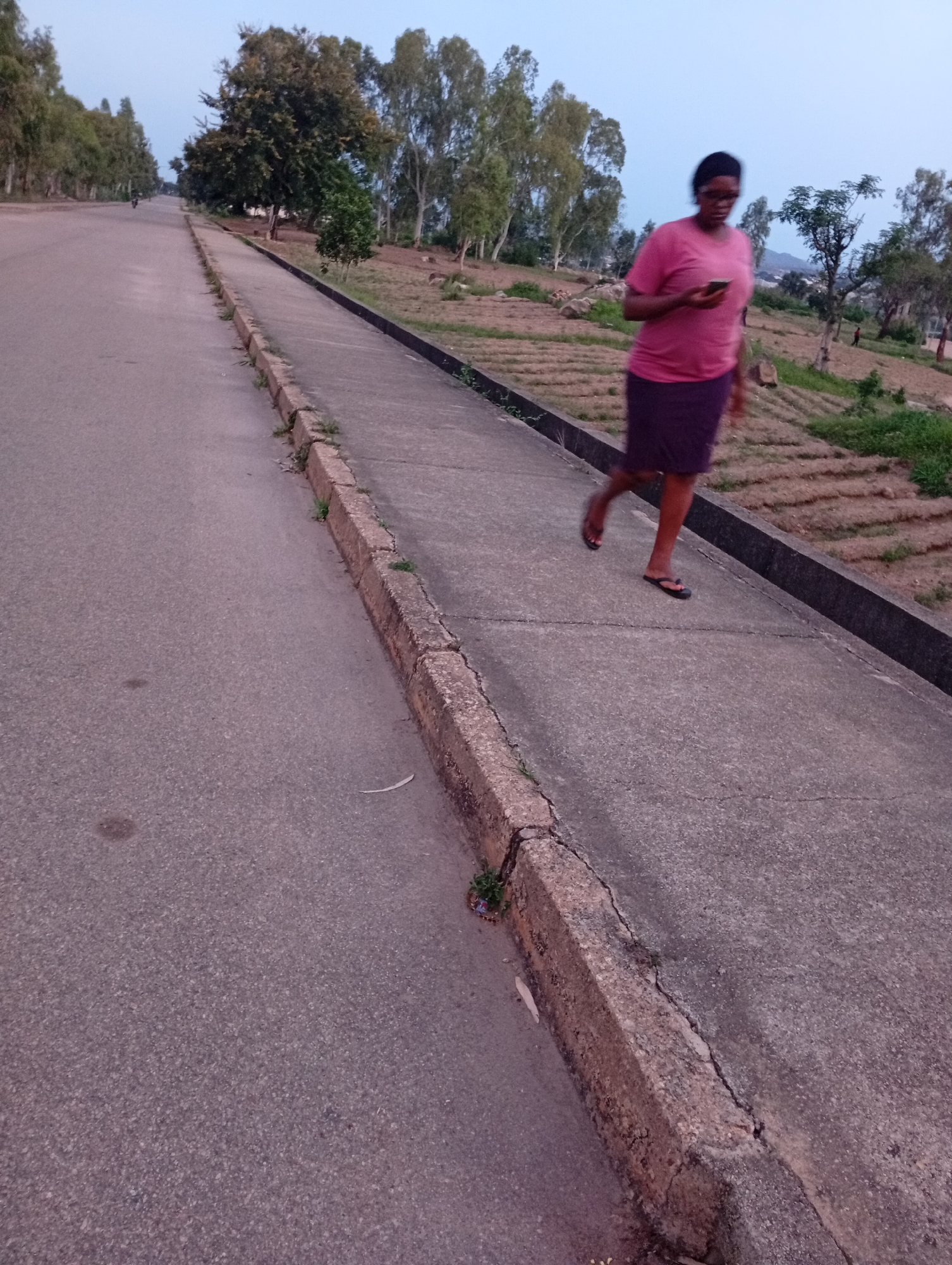 The image depicts an outdoor scene on a paved surface, likely a road and a sidewalk or footpath, in Jos, Nigeria. The lighting suggests it is either early morning or late evening, with a soft, diffused light and a clear sky.
A young woman is the primary subject, captured in motion as she walks along the raised concrete path. She is wearing a bright pink short-sleeved t-shirt and a dark purple skirt that falls to her knees. Her feet are clad in black flip-flops. She is holding a smartphone in her right hand and appears to be looking at it. Her body is slightly blurred due to her movement, indicating a candid or action shot.
The environment features a gradual incline to the path. To the left of the path is a paved road. To the right of the path, there is a terraced area with rows of soil, suggesting agricultural cultivation, possibly of crops like yams or potatoes, common in the region. Scattered rocks are visible on the slopes. Behind the cultivated area, a line of trees with slender trunks and green foliage stretches across the background, framing the scene. The overall impression is one of a rural or semi-urban area on the outskirts of Jos, characterized by its natural landscape and agricultural practices. The condition of the concrete path and curb shows signs of wear and tear, with cracks and vegetation growing in some areas, consistent with the local climate and maintenance conditions. In the far background, distant hills or mountains are faintly visible.