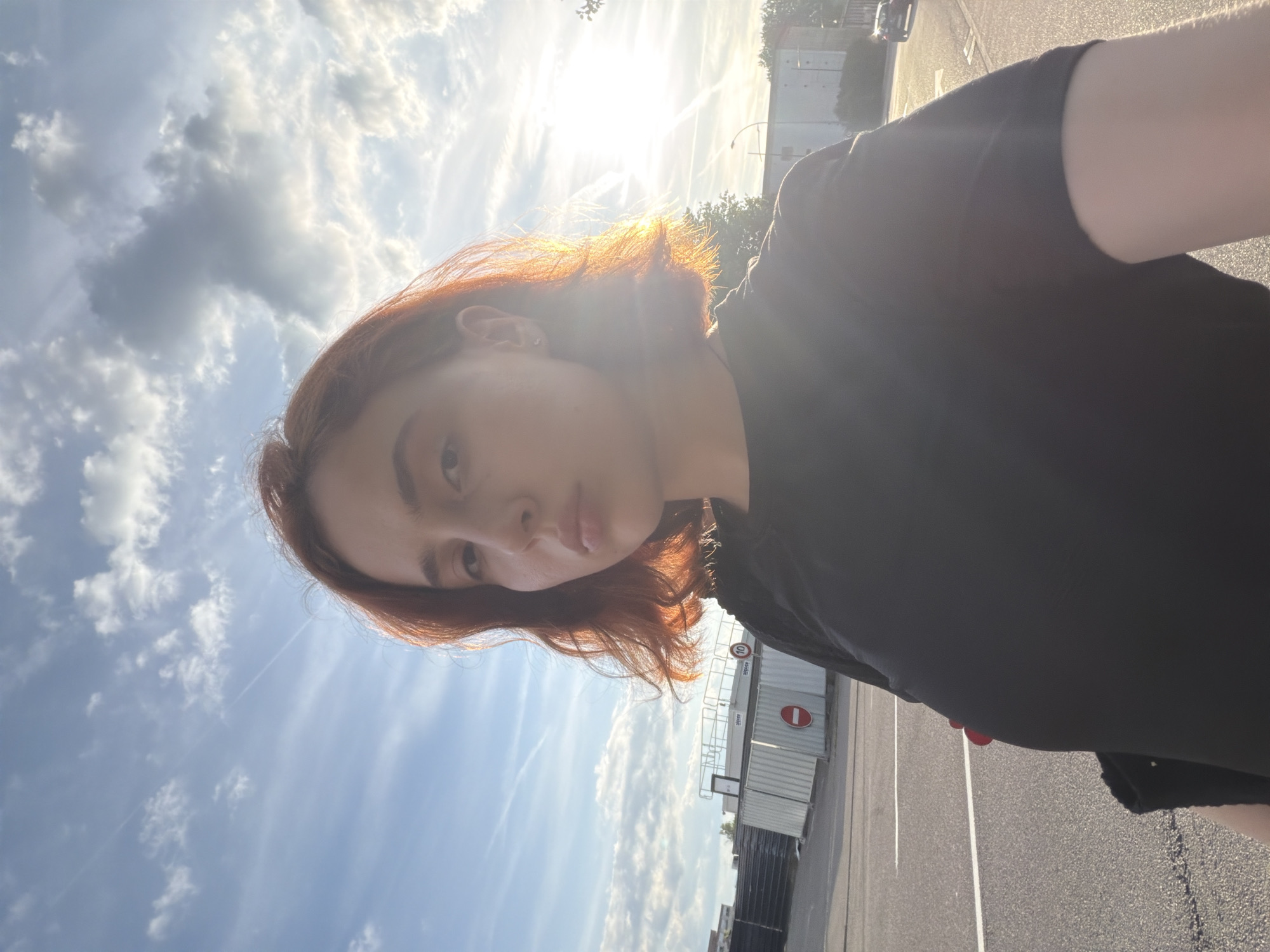 A young person, likely female, with reddish-brown hair is captured in a sun-drenched outdoor selfie. She is wearing a dark (possibly black) t-shirt and looks directly at the camera with a neutral expression. The image is taken under bright conditions, with the sun positioned directly behind her head, creating a strong backlight that makes her hair glow with a golden hue and casts a lens flare across the upper right portion of the frame. Her upper body is partially silhouetted by the intense light.
The sky, occupying a significant part of the background, is light blue with scattered white cumulus clouds and visible contrails. In the middle ground and background, there are elements suggesting an urban or industrial setting, possibly in Strasbourg, France. These include a paved road or asphalt area with white lane markings, trees, and construction barriers or temporary fencing made of corrugated metal.
Notable details in the background include a red circular sign with the number "10" in white, indicating a speed limit of 10 km/h. Nearby, another red circular sign with a horizontal white bar signifies "No Entry" or "Do Not Enter." The bright, low-angle sunlight suggests it is either early morning or late afternoon.