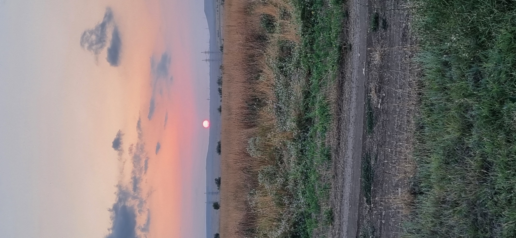 The image depicts a rural landscape at dusk, likely in or near Blizhnee, Ukraine. The sky is a gradient of soft pink and pale blue, with scattered, wispy clouds. A large, reddish-pink sun is visible near the horizon, partially obscured by the distant treeline and rolling hills. The foreground is dominated by tall, dry grasses and wildflowers, with a dirt track running horizontally across the lower portion of the frame. In the mid-ground, the landscape transitions to sparser vegetation and distant trees. Power lines and pylons are visible in the far distance, suggesting the presence of infrastructure. The overall impression is one of natural beauty and tranquility, characteristic of a country setting at the end of the day.