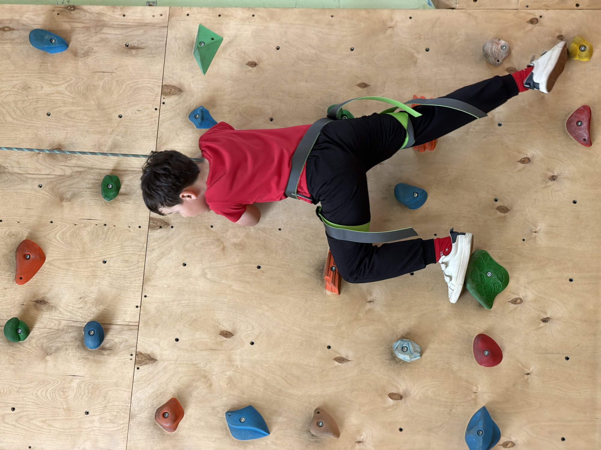 A child, wearing a red shirt, black pants, and white sneakers with red socks, is rock climbing on an indoor climbing wall made of plywood with various colored climbing holds attached. The child is also wearing a climbing harness with leg loops. A rope hangs down to the left of the child. The scene appears to be indoors, in a climbing gym, and is most likely not located in Izhevsk, Russia, as there is no clear evidence to suggest it is. The child is positioned horizontally against the wall.