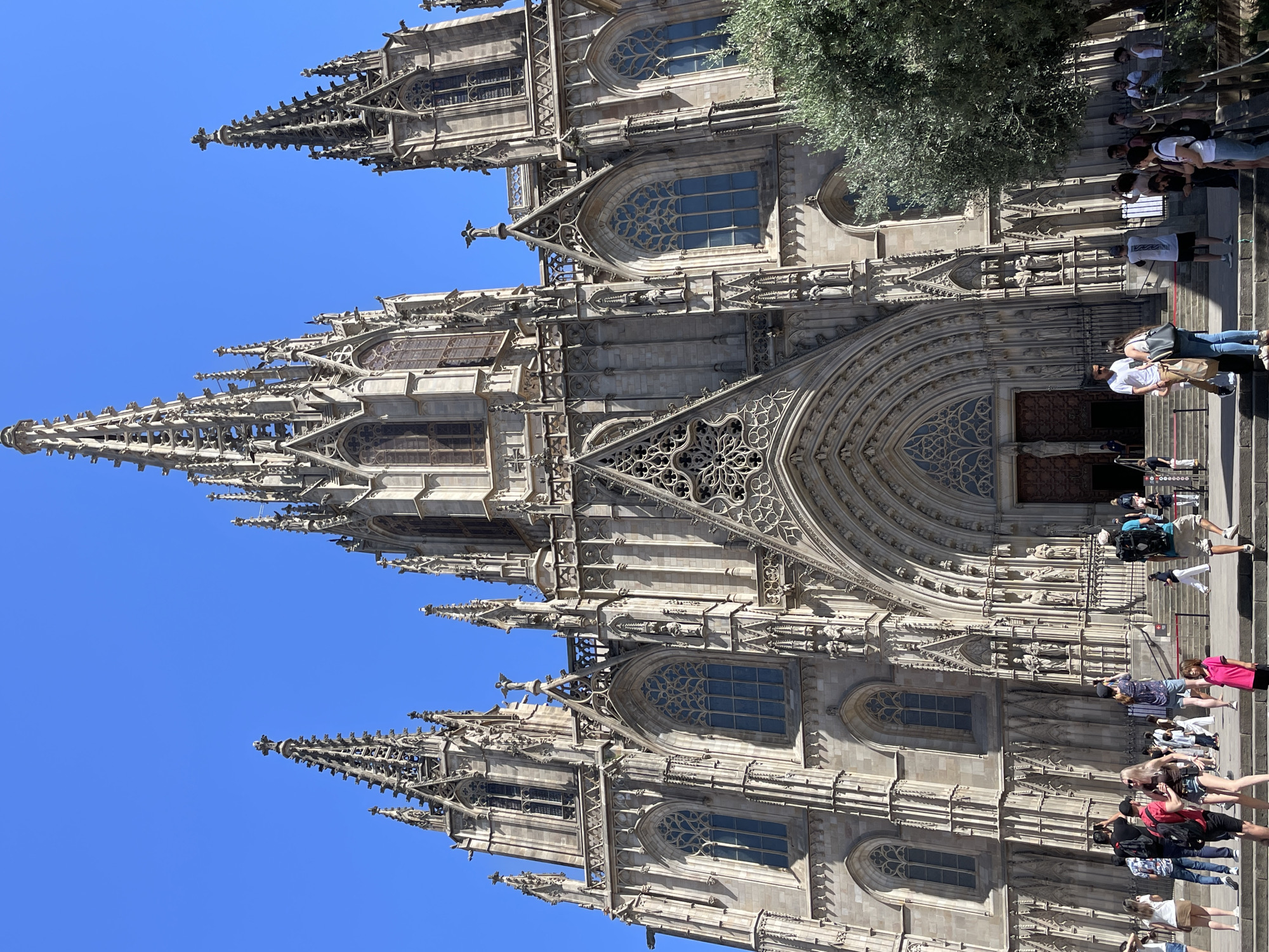 This is a low-angle, full shot of the Barcelona Cathedral in Barcelona, Spain, under a clear blue sky. The Gothic cathedral, with its intricate stone facade, ornate spires, and pointed arches, dominates the frame. Large rose windows are visible on the facade. Several people are gathered in front of the cathedral, some standing, some walking, and some taking pictures. A few individuals are on the steps leading up to the entrance. A mature olive tree with dense foliage is partially visible on the right side of the image, casting a shadow. The scene appears to be a sunny day, with bright light and sharp shadows.