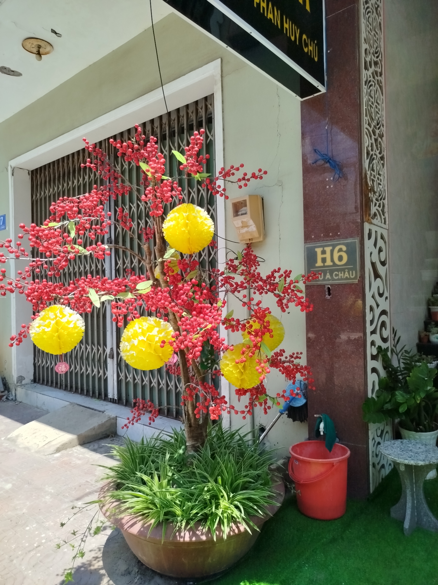 A color photograph shows a potted plant with red berries and yellow spherical decorations standing in front of a building in Ho Chi Minh City, Vietnam. The plant sits in a brown pot filled with green foliage. Red berries are attached to the branches. Five large yellow spherical decorations are affixed to the branches. The plant is positioned in front of a building with a rolling metal gate. A red plastic bucket with a green cloth hanging from its rim sits next to the plant, on a patch of artificial green turf. Behind the bucket, against the building wall, is a small stone table. A dark brown column with a decorative white lattice design is adjacent to the wall. A plaque with the inscription "H6 U A CHAU" is mounted on the brown column. Above this, an electrical meter is affixed to the wall. Above and to the left of the meter is a sign with the words "PHAN HUY CHU" printed on it. The building facade is a pale gray color. The photograph is taken during daylight, with shadows cast on the paving stones in the foreground.