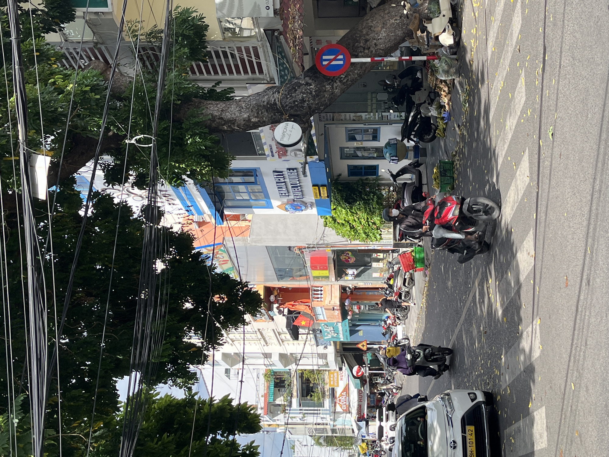 The image captures a busy street scene in Nha Trang, Vietnam, likely a commercial area given the presence of various shops and businesses. In the foreground, a white Toyota sedan with license plate "9H-101.42" is stopped at a pedestrian crossing. To its left, a person wearing a black helmet and white mask rides a dark-colored scooter. Further down the street, another person on a red scooter, also wearing a helmet and mask, navigates the road.
The street is lined with multi-story buildings, many of which appear to be shops or restaurants. Signs are visible in Vietnamese, including "BIVINA" and "VENAJA CITY TRAVEL LOUNGE". A prominent tree with a thick trunk grows out of the sidewalk, its branches extending over the street and entangled with numerous electrical wires. In front of some businesses, produce such as bananas and green bags are displayed for sale.
Several other motorcycles and scooters are parked along the sidewalk and on the street, indicating a common mode of transportation. A red and white circular traffic sign with a horizontal bar is visible on a pole. The street is paved and appears to be a one-way street. Scattered yellow leaves on the asphalt suggest it might be autumn or a season with falling foliage. The overall impression is a vibrant and active urban environment typical of Vietnamese cities.