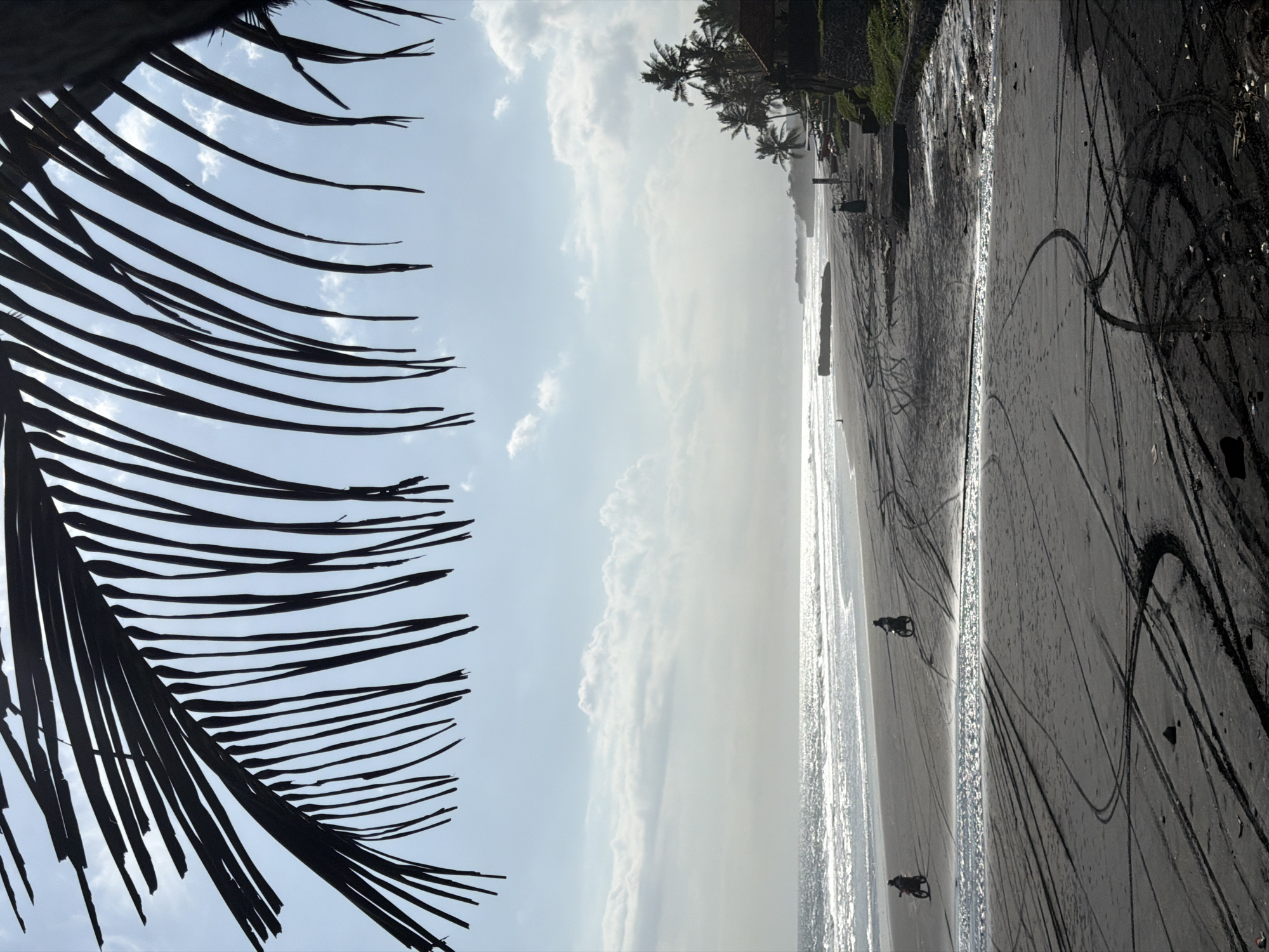 A black sand beach in Kerambitan, Indonesia, is captured from an elevated viewpoint, partially obscured by the silhouette of a palm frond in the upper-left. The sky is overcast, with clouds visible between the fronds and above the horizon. The coastline is lined with palm trees and vegetation. Two motorcycles are visible on the wet sand near the water's edge, leaving tire tracks across the beach. The beach has a significant amount of tire tracks, indicating vehicular activity.