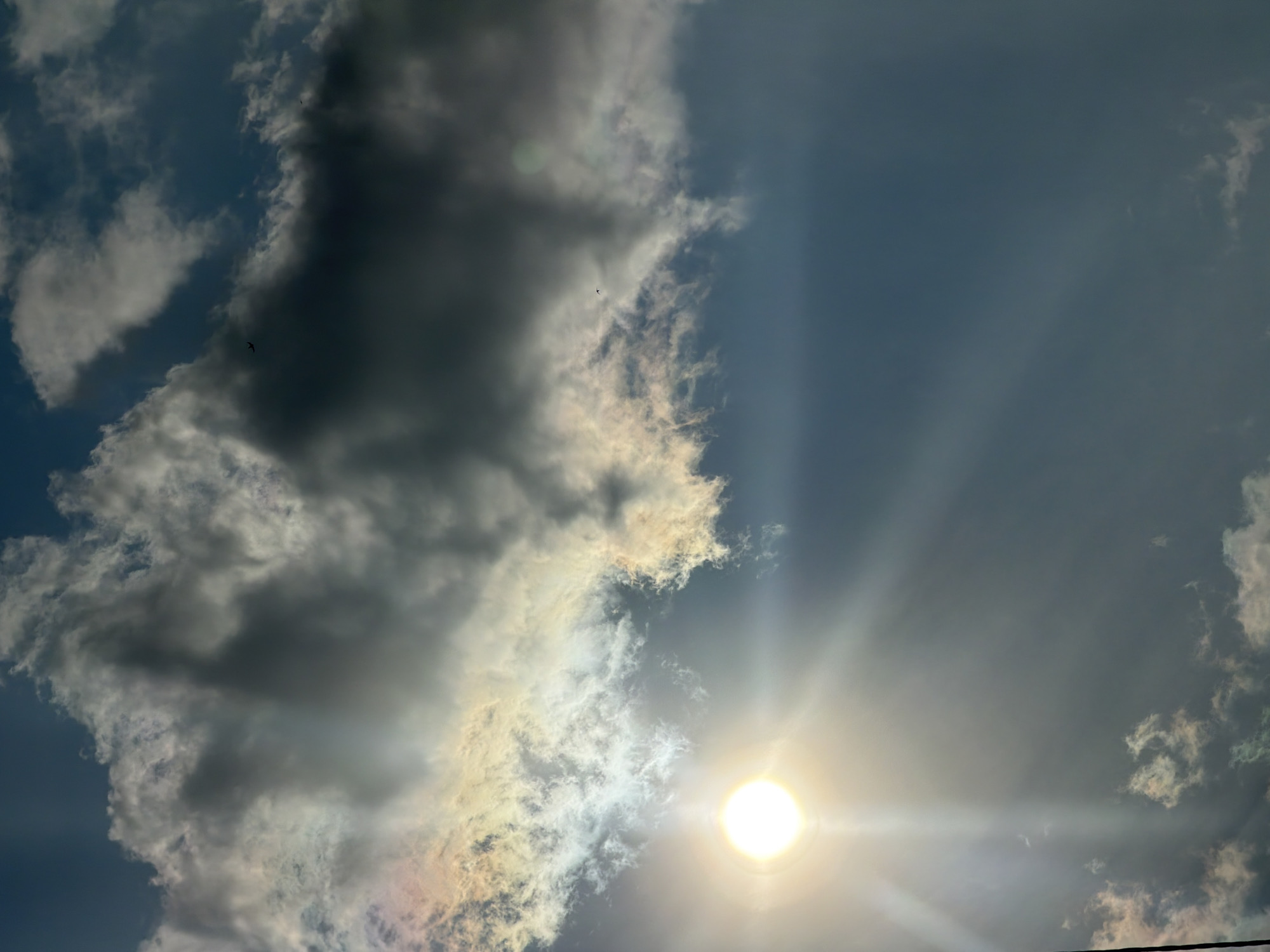 This is a photograph of a bright sun setting behind dramatic clouds in Ternopil, Ukraine. The sun is a prominent feature, casting a strong glare and radiating beams of light across the frame. The sky is a mix of deep blues and grays, with large, dark clouds dominating the left side of the image. These clouds are partially illuminated by the sun, creating a contrast between dark shadows and bright, luminous edges. Wisps of lighter clouds are scattered throughout, some catching the golden hues of the setting sun. A few small birds are visible as dark silhouettes against the sky, adding a sense of scale and life to the vast expanse. The overall impression is one of a dramatic and beautiful sunset, with the interplay of light and shadow creating a powerful visual effect. The weather appears to be dynamic, with the possibility of rain or a storm indicated by the dark clouds. The time of day is clearly sunset, as suggested by the low position of the sun and the warm, radiant light.