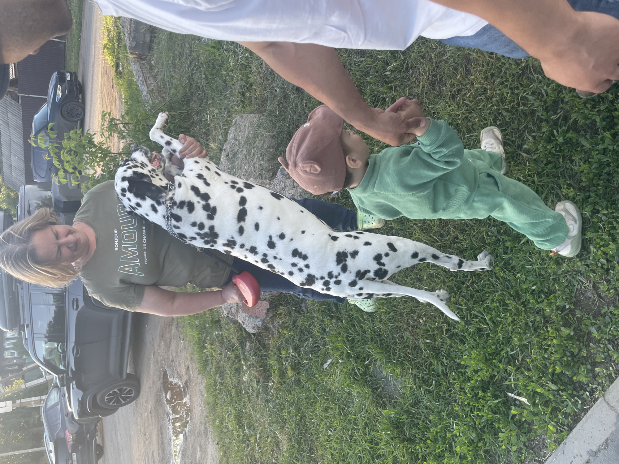 The image, taken in Izhevsk, Russia, captures an outdoor scene featuring three individuals and a large Dalmatian dog on what appears to be a grassy area beside a dirt path.
In the foreground, a woman with blonde hair, wearing an olive green t-shirt with French text, holds a lively Dalmatian dog. The dog is white with prominent black spots, and it is depicted with its front paws raised, mouth open as if in excitement or play, and a red leash handle visible in the woman's hand. To the right, a young child, possibly a toddler, in a green tracksuit and a brown cap with ear details, stands on the grass, holding hands with a partially visible adult. This adult, wearing a white t-shirt and blue jeans, is mostly seen from the arm down, gripping the child's hand.
The setting includes a patch of green grass in the foreground and midground, with a rough dirt road or path behind it. Several dark-colored vehicles, primarily SUVs, are parked along this path, one featuring a roof rack and cargo box. A small puddle of water is visible on the dirt path. The background suggests a residential or semi-rural environment with some foliage and structures.
The activity appears to be a casual outdoor interaction, possibly during a walk or playtime. The dog's excited posture suggests a moment of play or high energy. The lighting indicates either late afternoon or early evening, with soft, warm sunlight illuminating the scene, and the weather is clear.
Visible text on the woman's t-shirt includes French phrases: "BONJOUR BONJOUR," "AMOUR," and "PROFITER DE CHAQUE," likely part of "Profiter de chaque instant" meaning "Enjoy every moment."