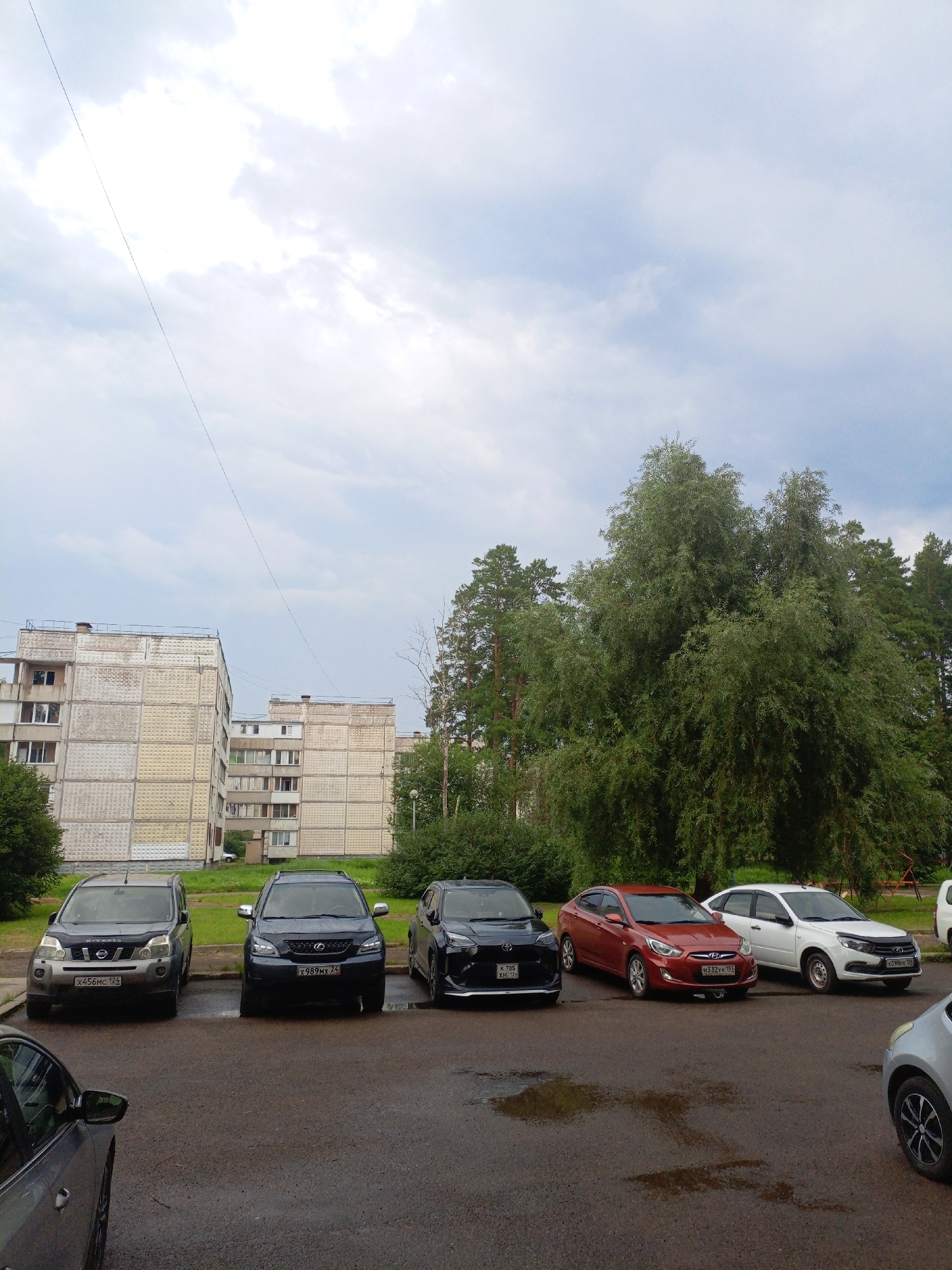 In the city of Zheleznogorsk, Russia, this image captures a residential courtyard under an overcast sky. Multiple cars are parked on a wet asphalt surface in front of two multi-story apartment buildings. The buildings appear to be Soviet-era panel buildings, characterized by their repetitive facade patterns. A large, leafy tree dominates the right side of the frame, with a few pine trees visible behind it. The overall scene suggests a typical day in a Russian urban environment.