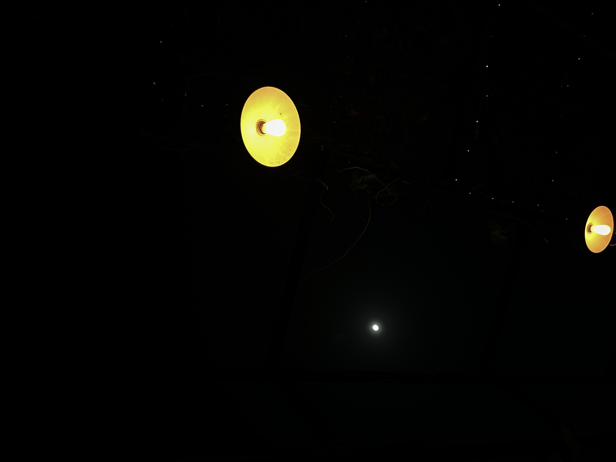 The image, taken at night, shows two illuminated lights suspended in the air, along with a smaller point of light likely from a distant source. The surroundings are dark, suggesting minimal ambient light. There are thin strands visible, possibly of webs or plant material. The location is inferred to be in the city of Lechería, Venezuela. No people or explicit actions are visible in the image.